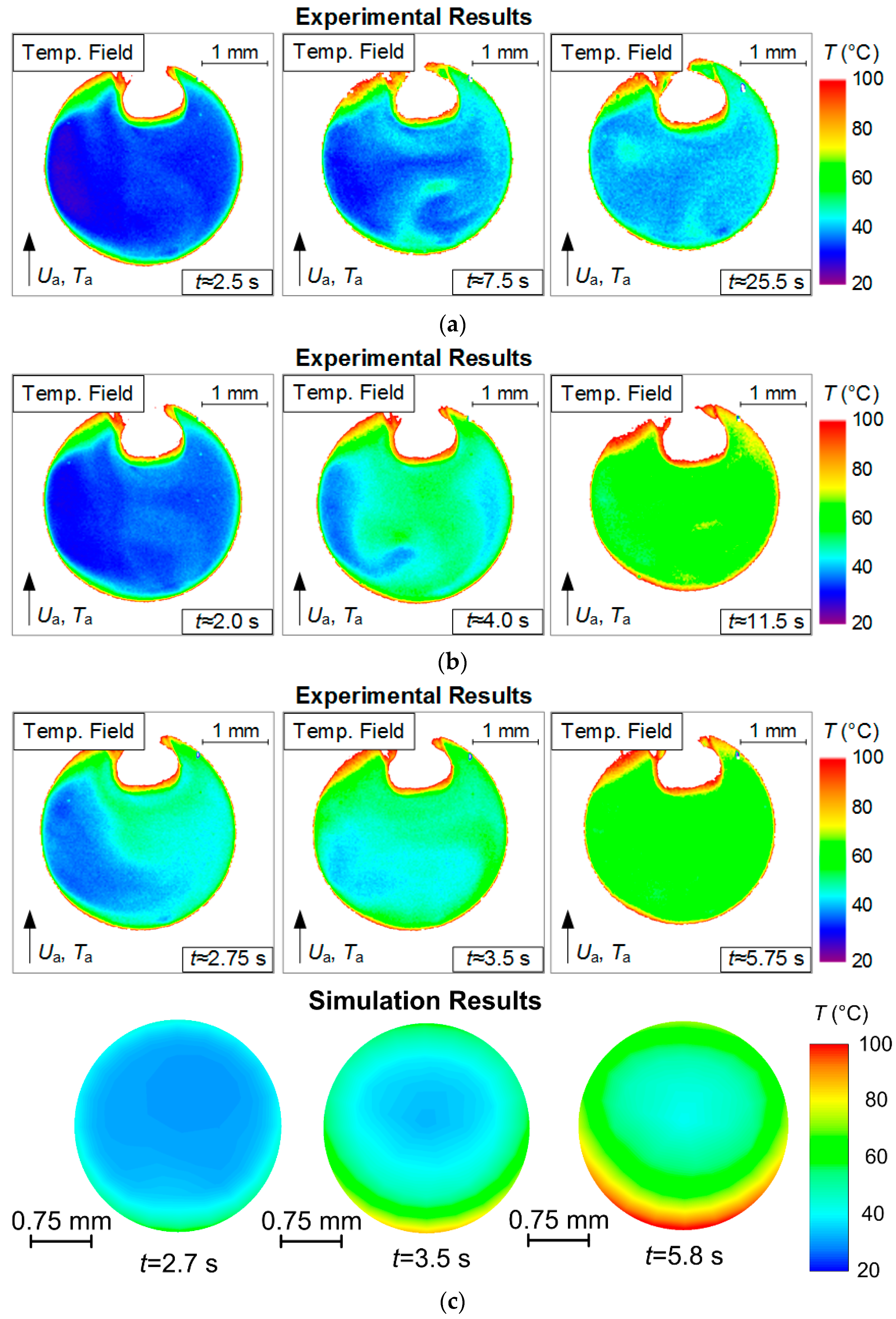Entropy 21 00803 g004