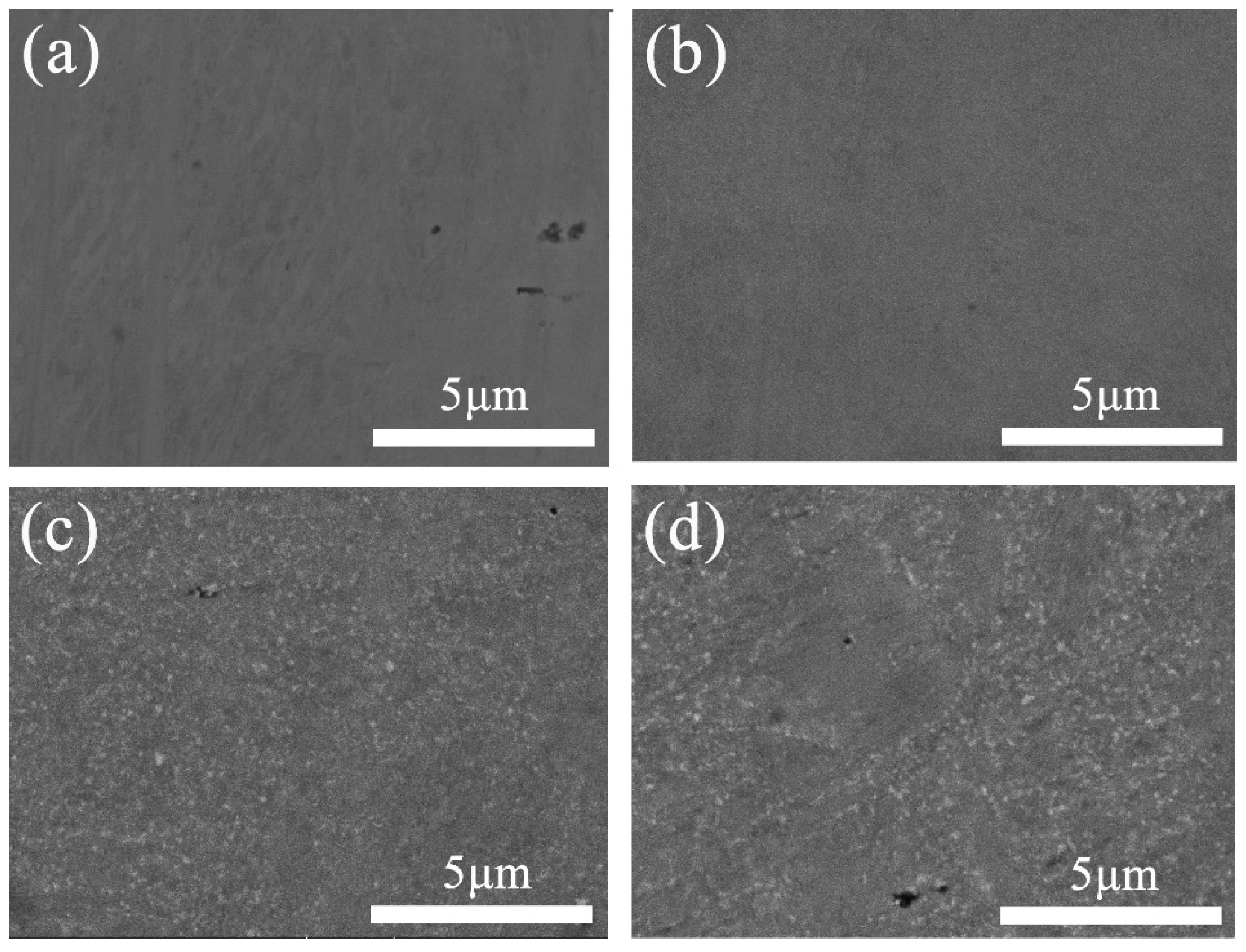 Entropy 21 00833 g002