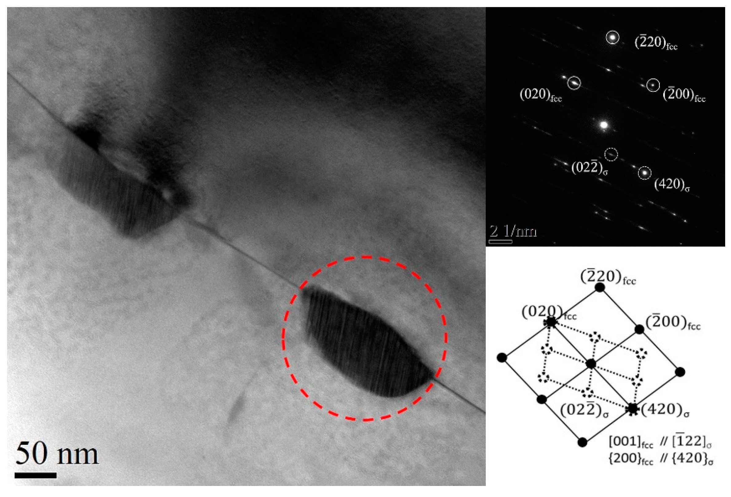 Entropy 21 00833 g007