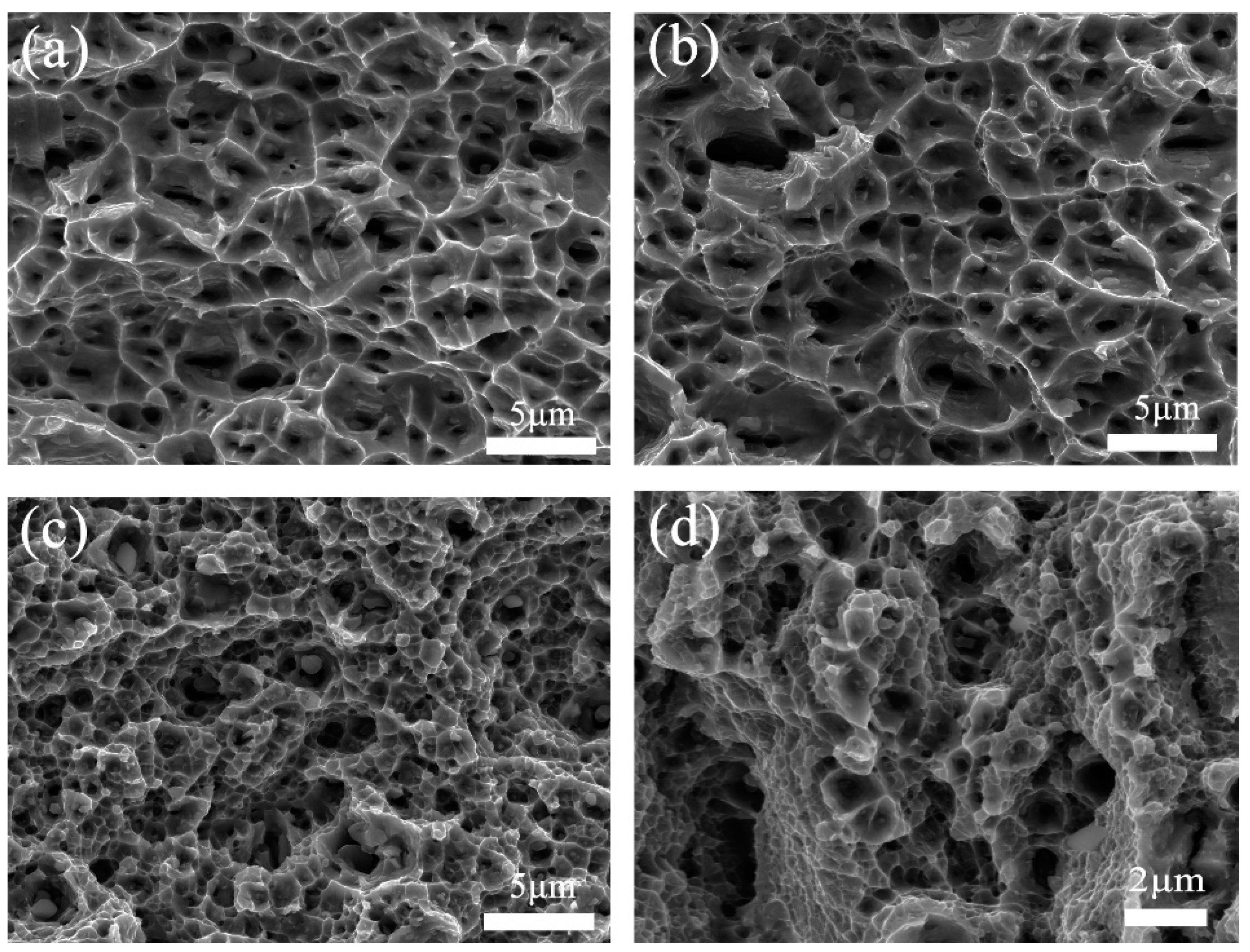 Entropy 21 00833 g010