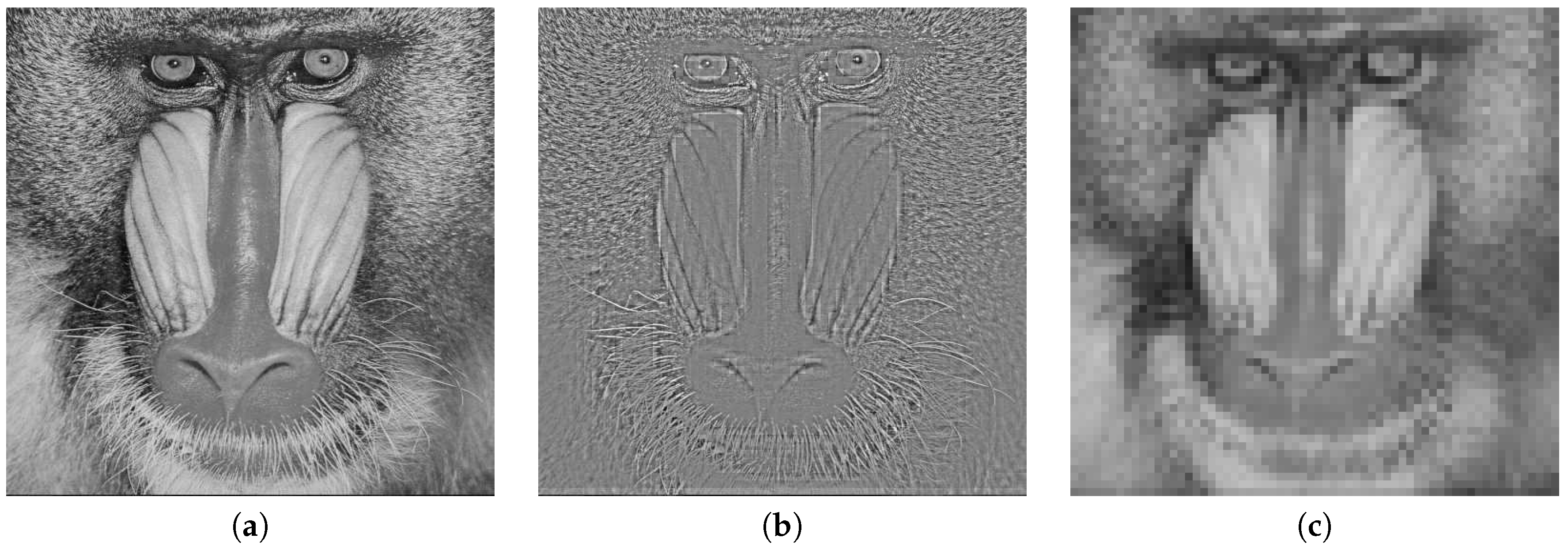 Entropy 21 00835 g001