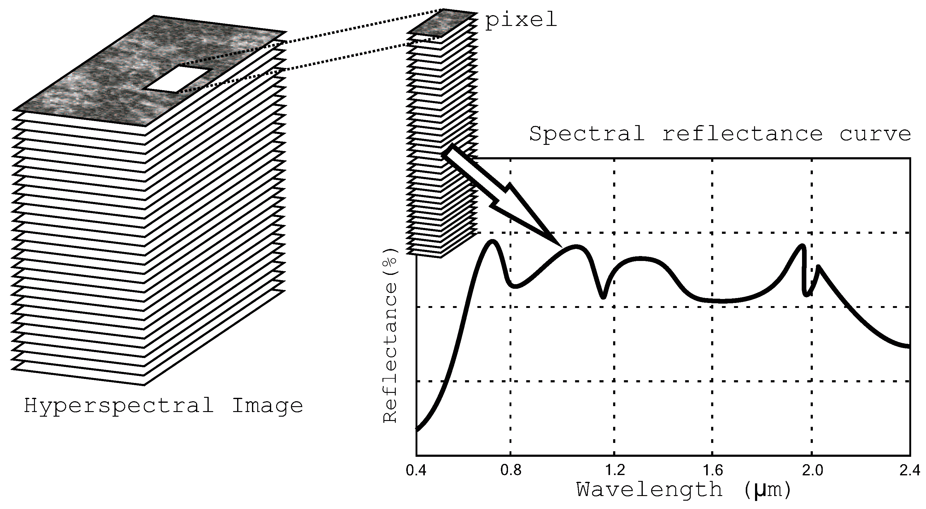 Entropy 21 00847 g001
