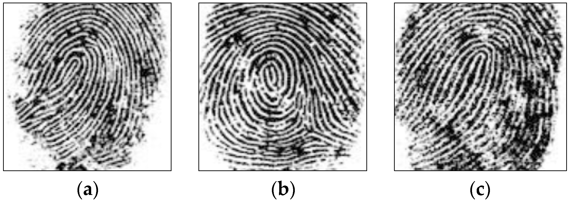 Entropy 21 00850 g014a