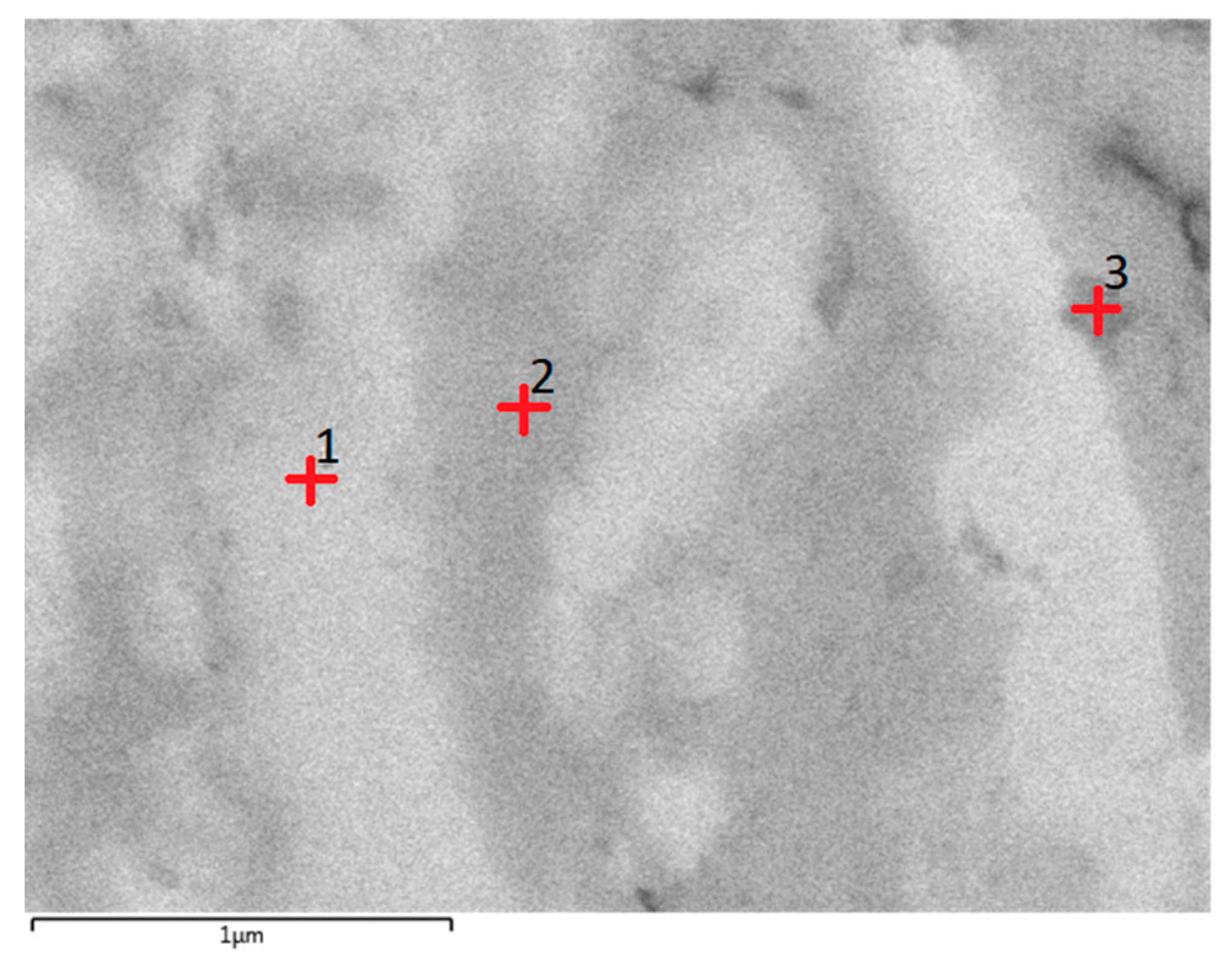 Entropy 21 00880 g005