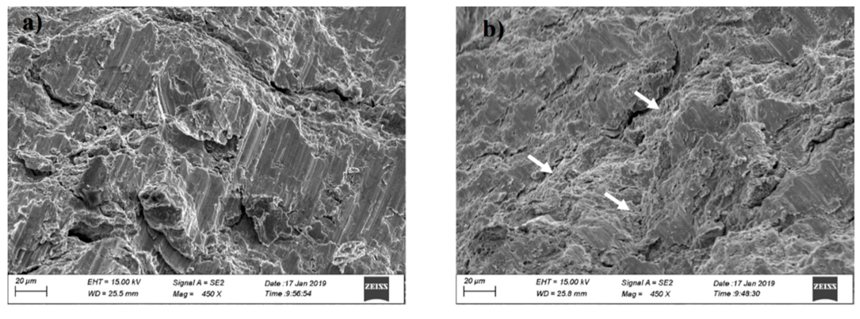 Entropy 21 00880 g009