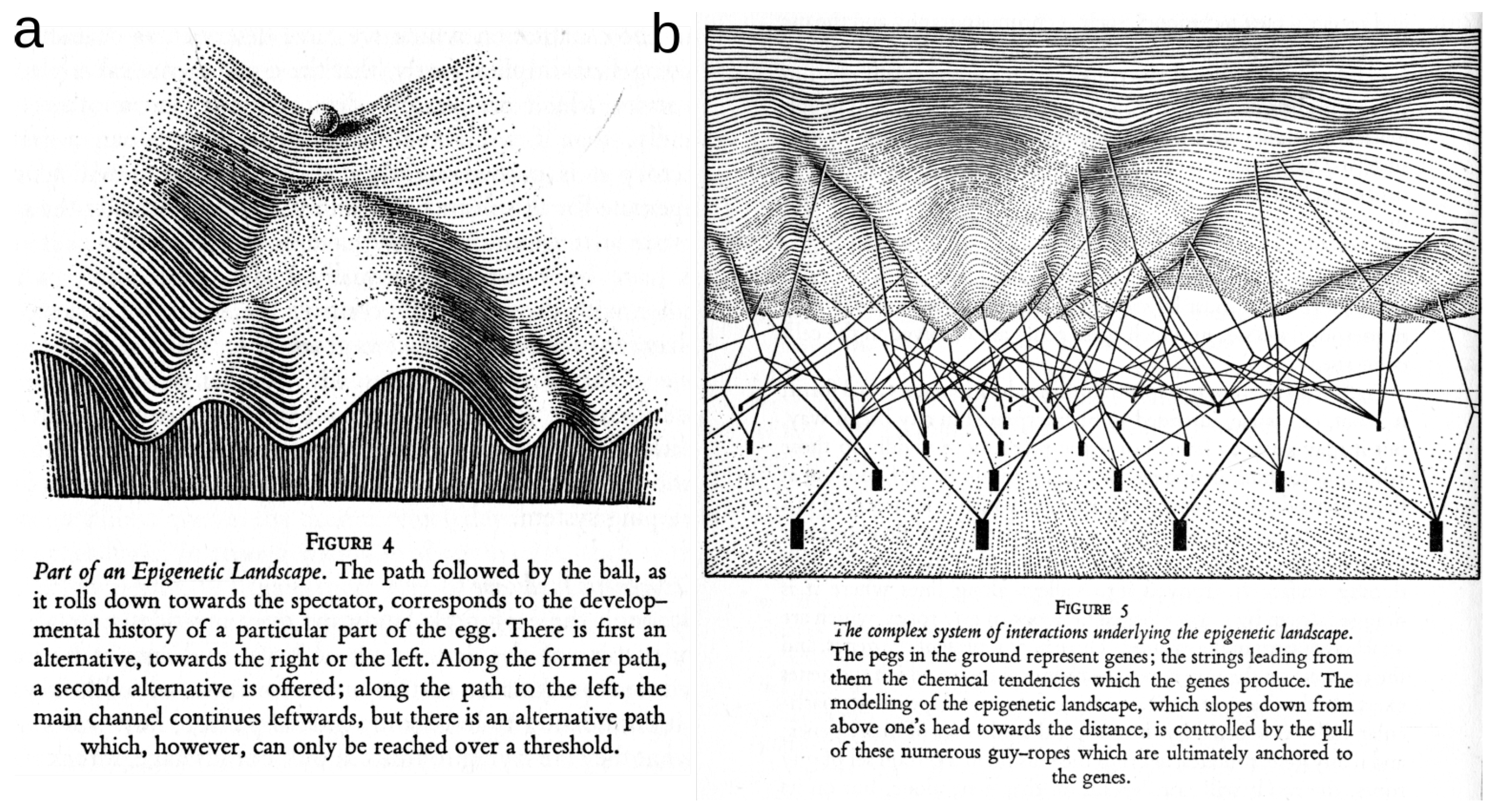 Entropy 21 00881 g007 Entropy 21 00881 g007