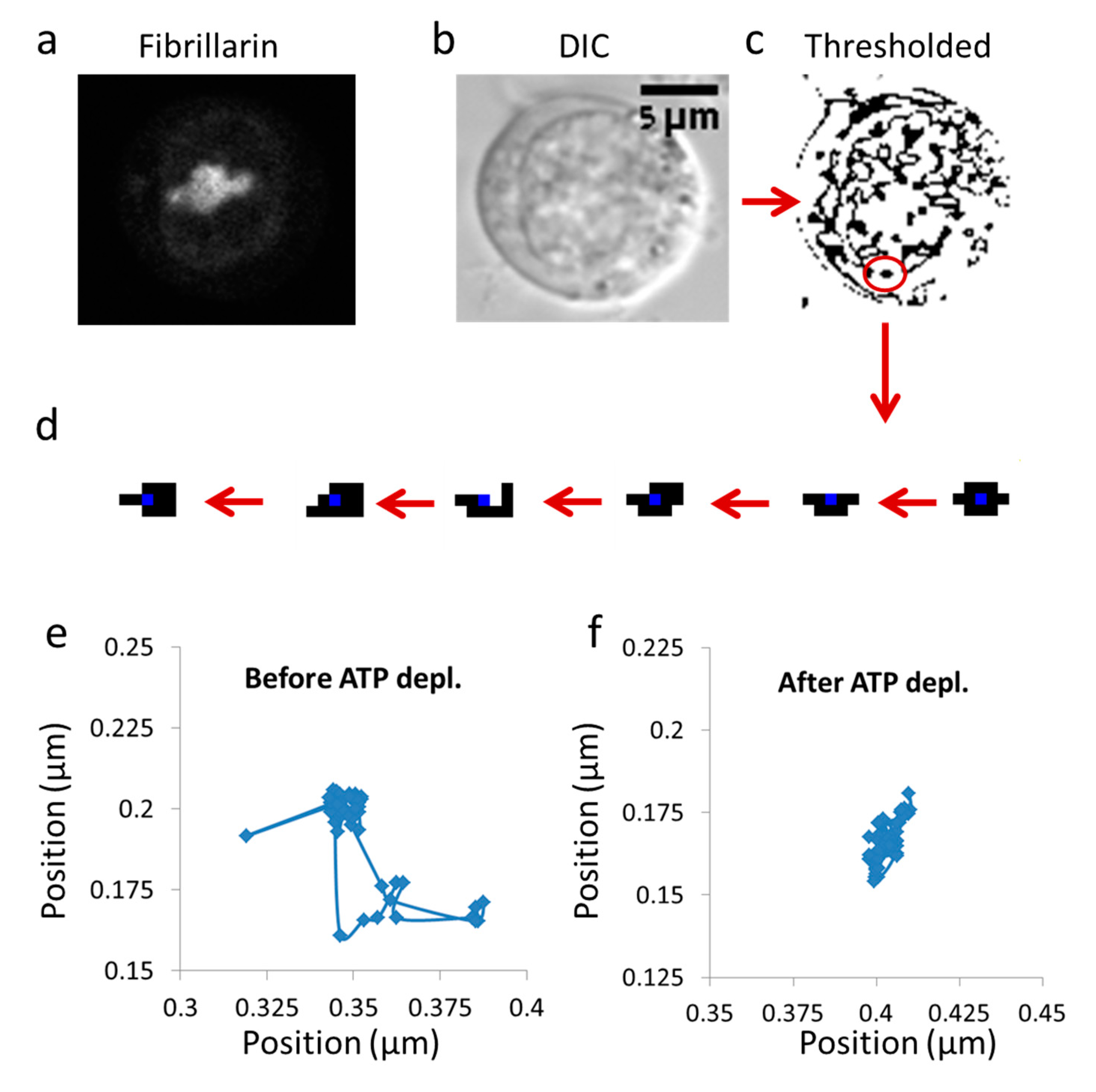 Entropy 21 00962 g001