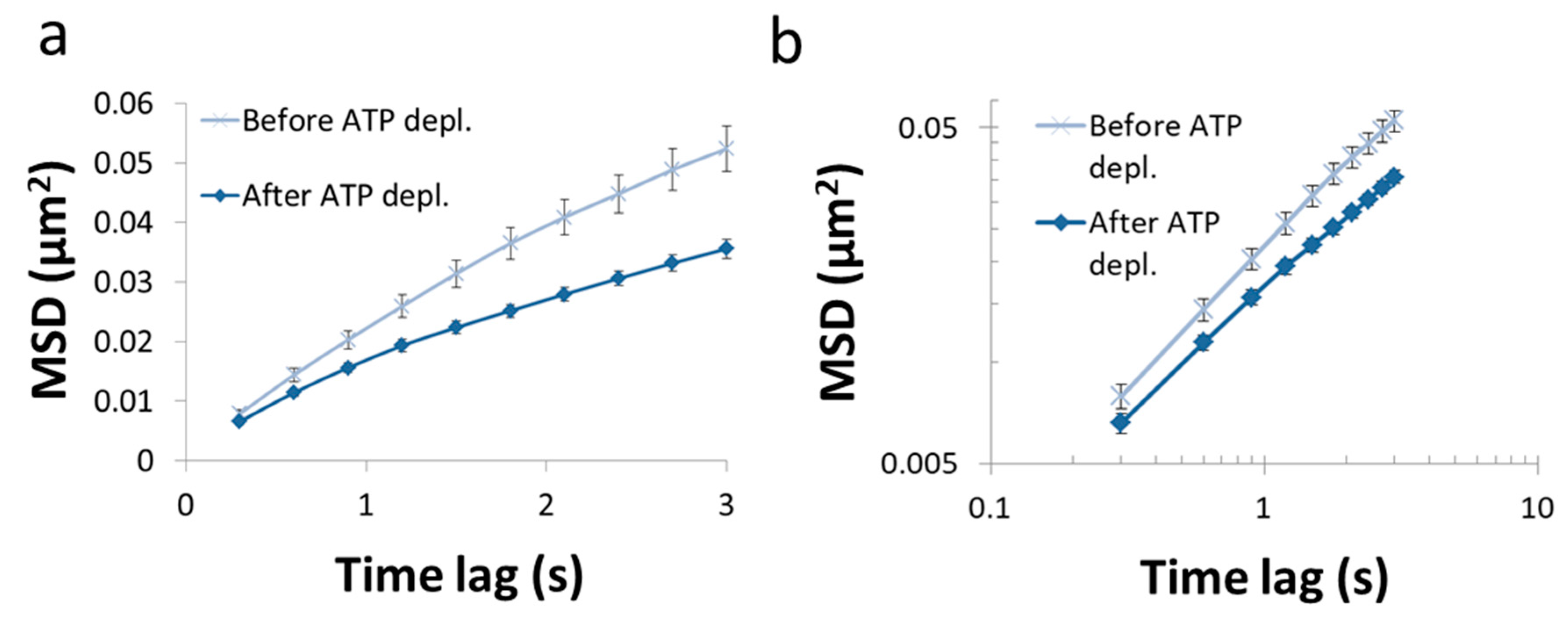 Entropy 21 00962 g007