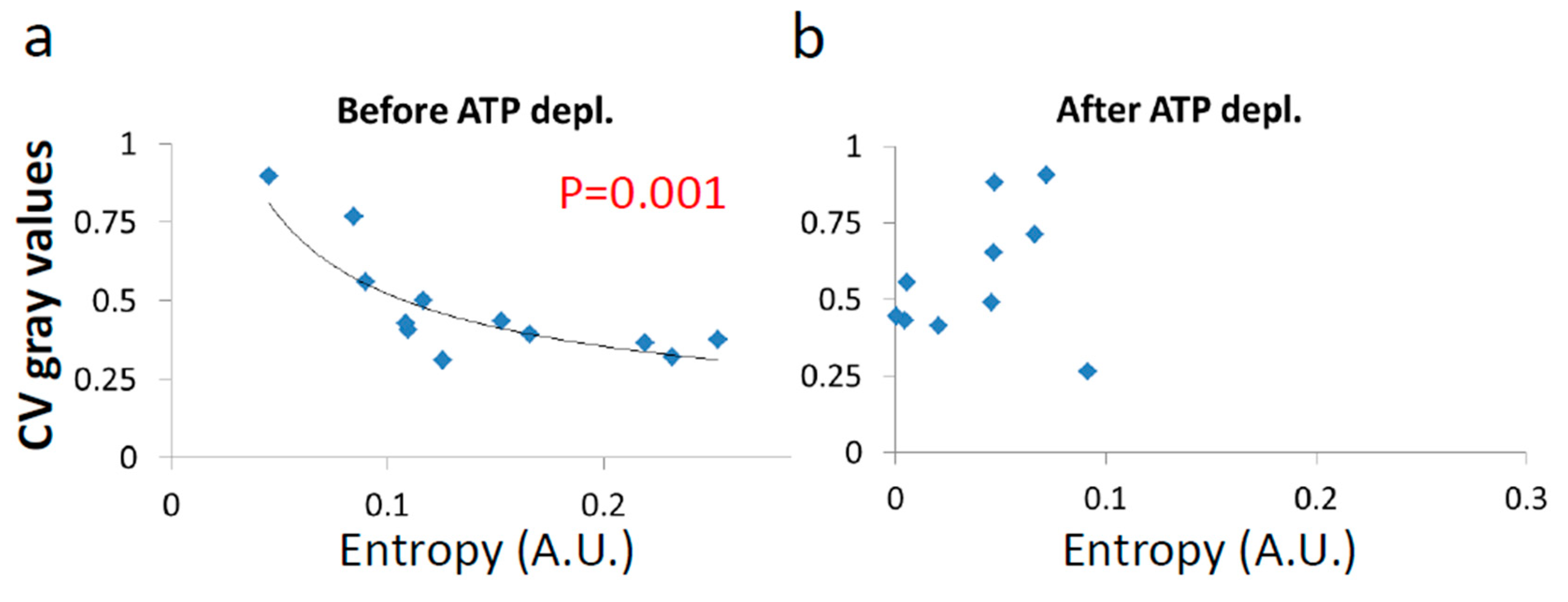 Entropy 21 00962 g013