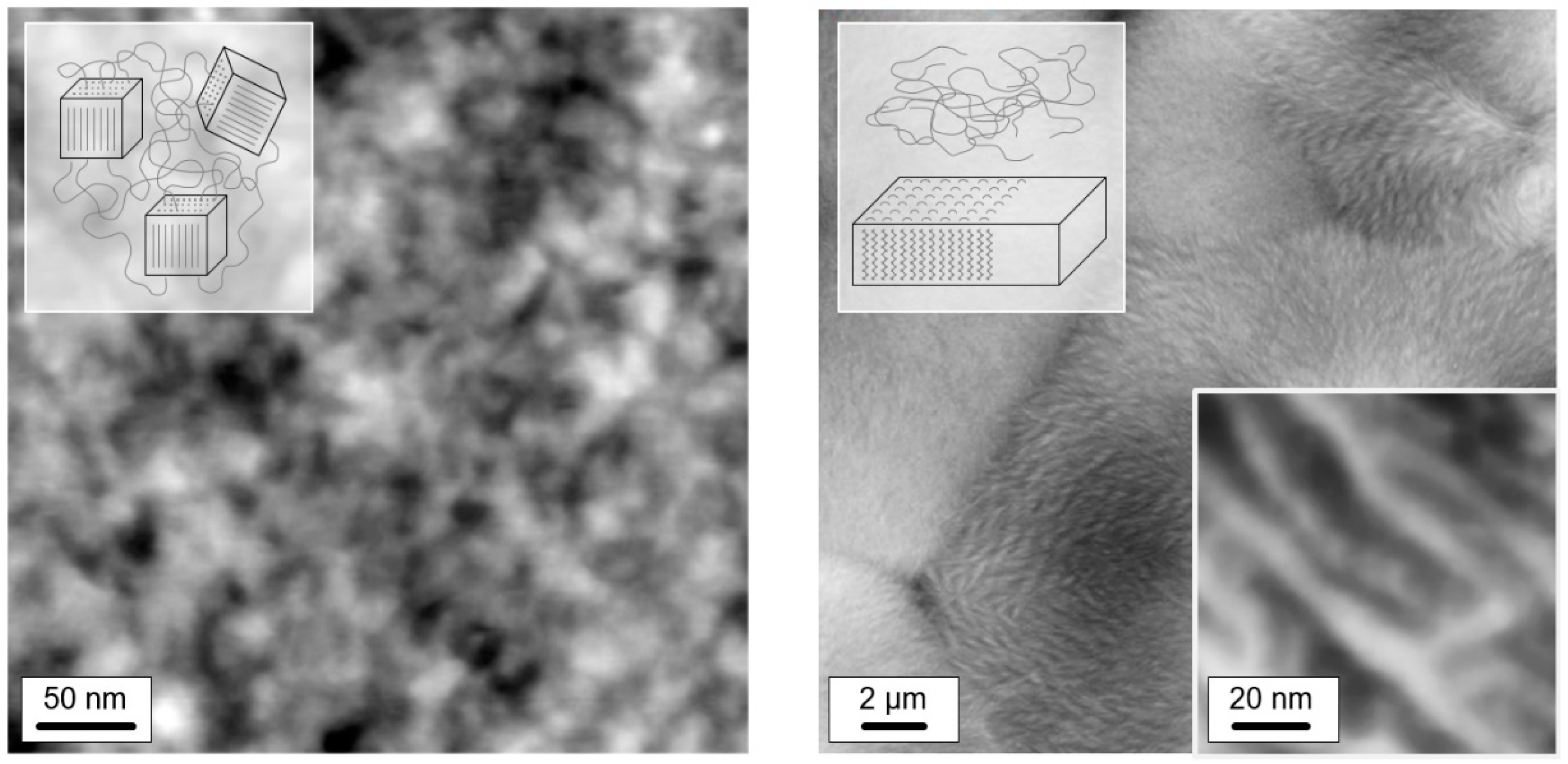 Entropy 21 00984 g004 Entropy 21 00984 g004