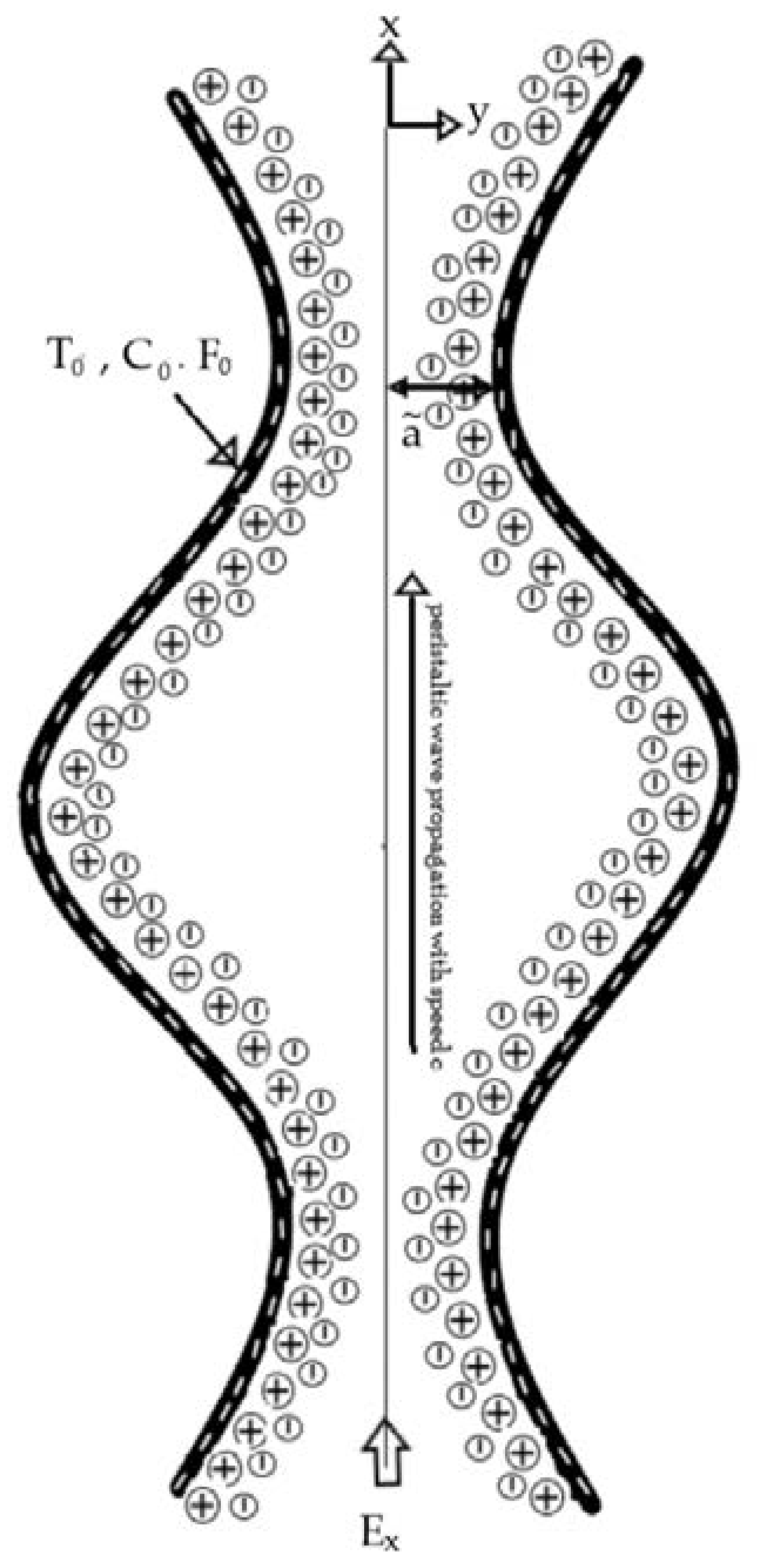 Entropy 21 00986 g001