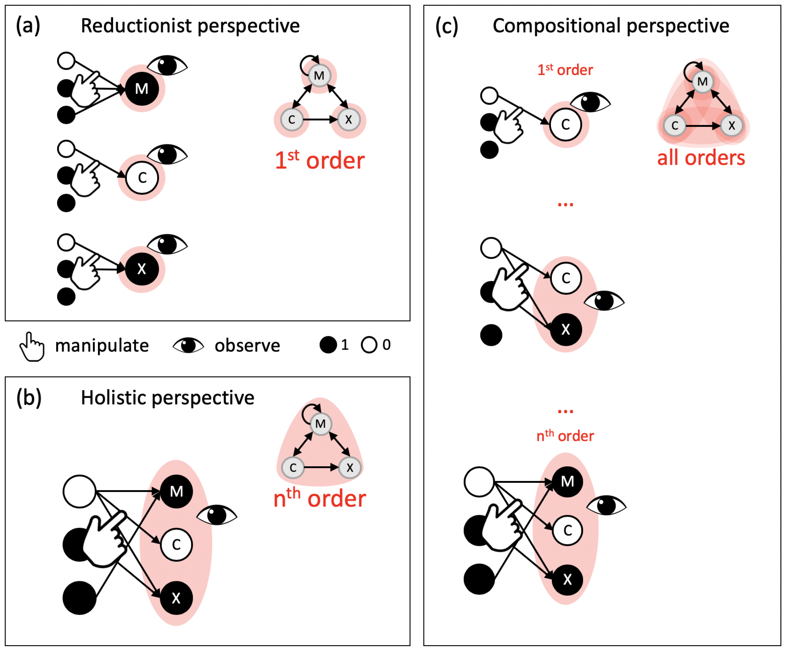 Entropy 21 00989 g002