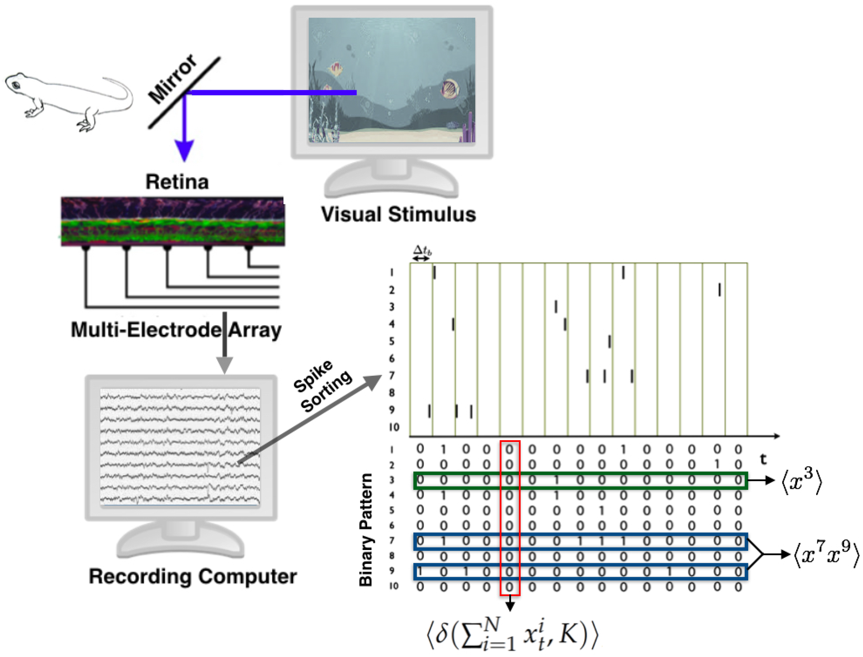 Entropy 21 01009 g002