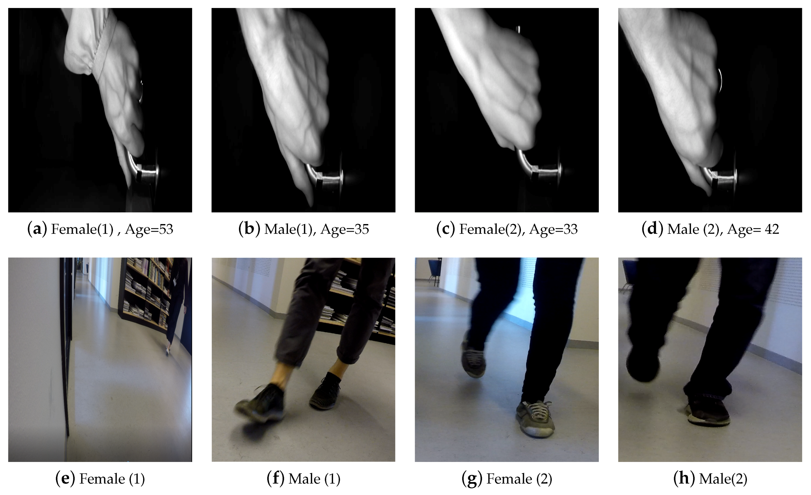 Entropy 21 01033 g002