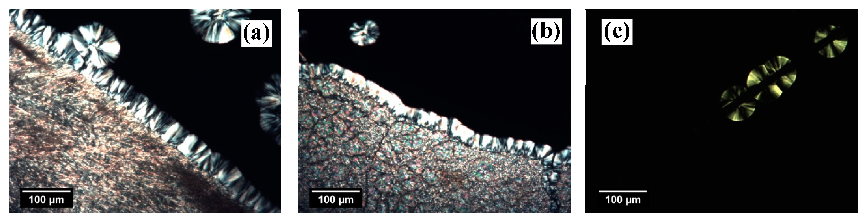 Entropy 21 01068 g002