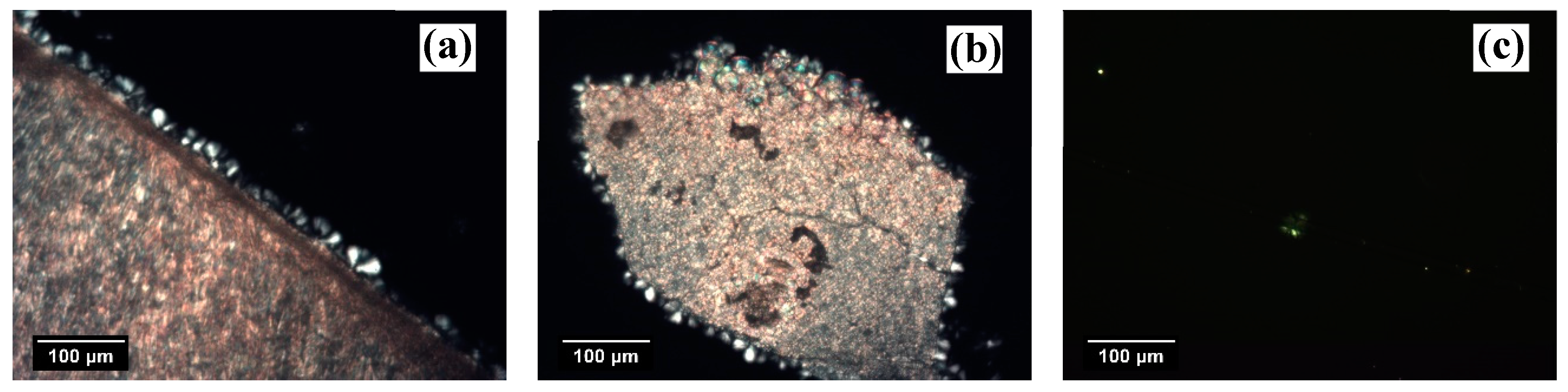 Entropy 21 01068 g003