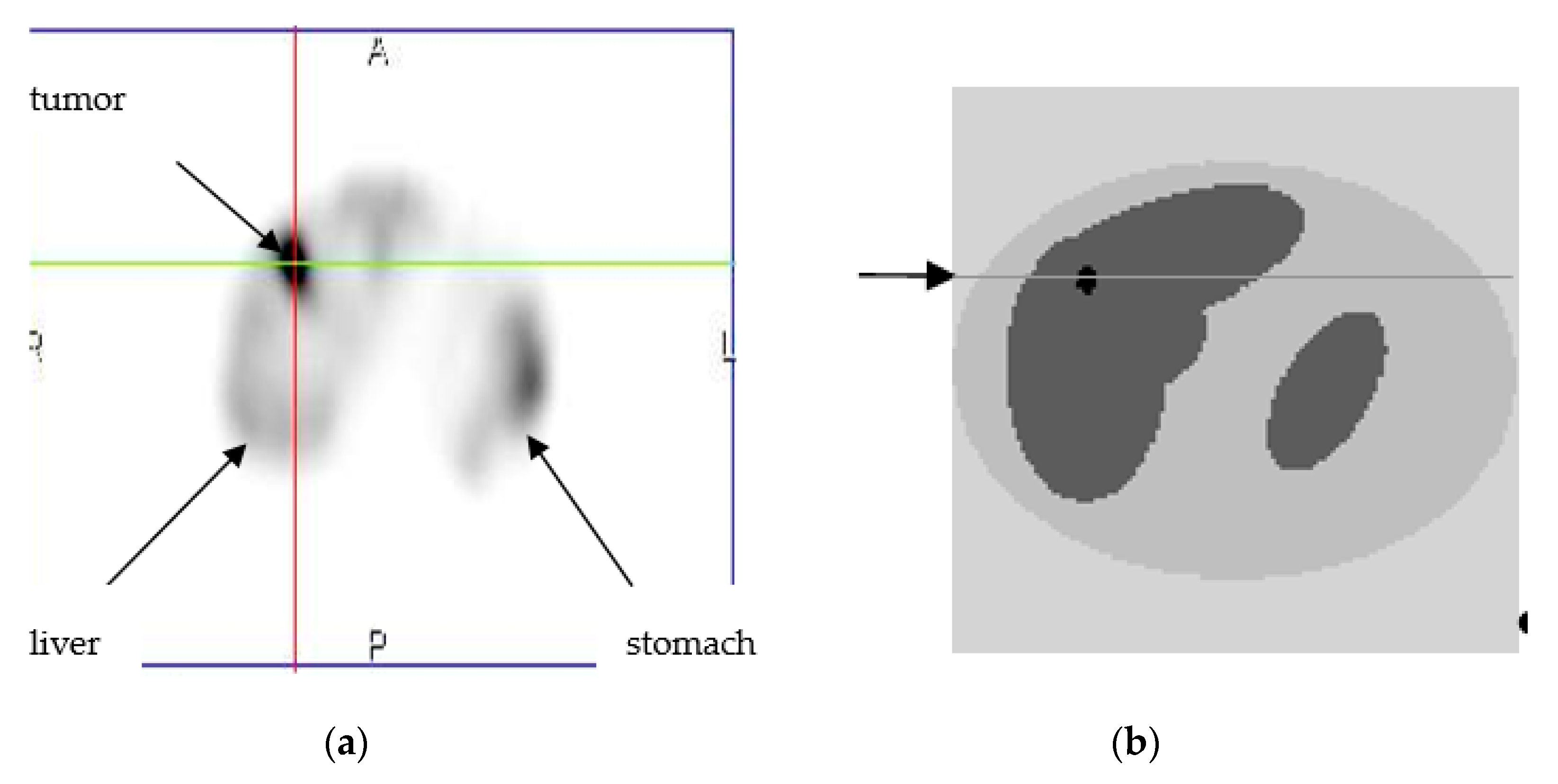 Entropy 21 01108 g002