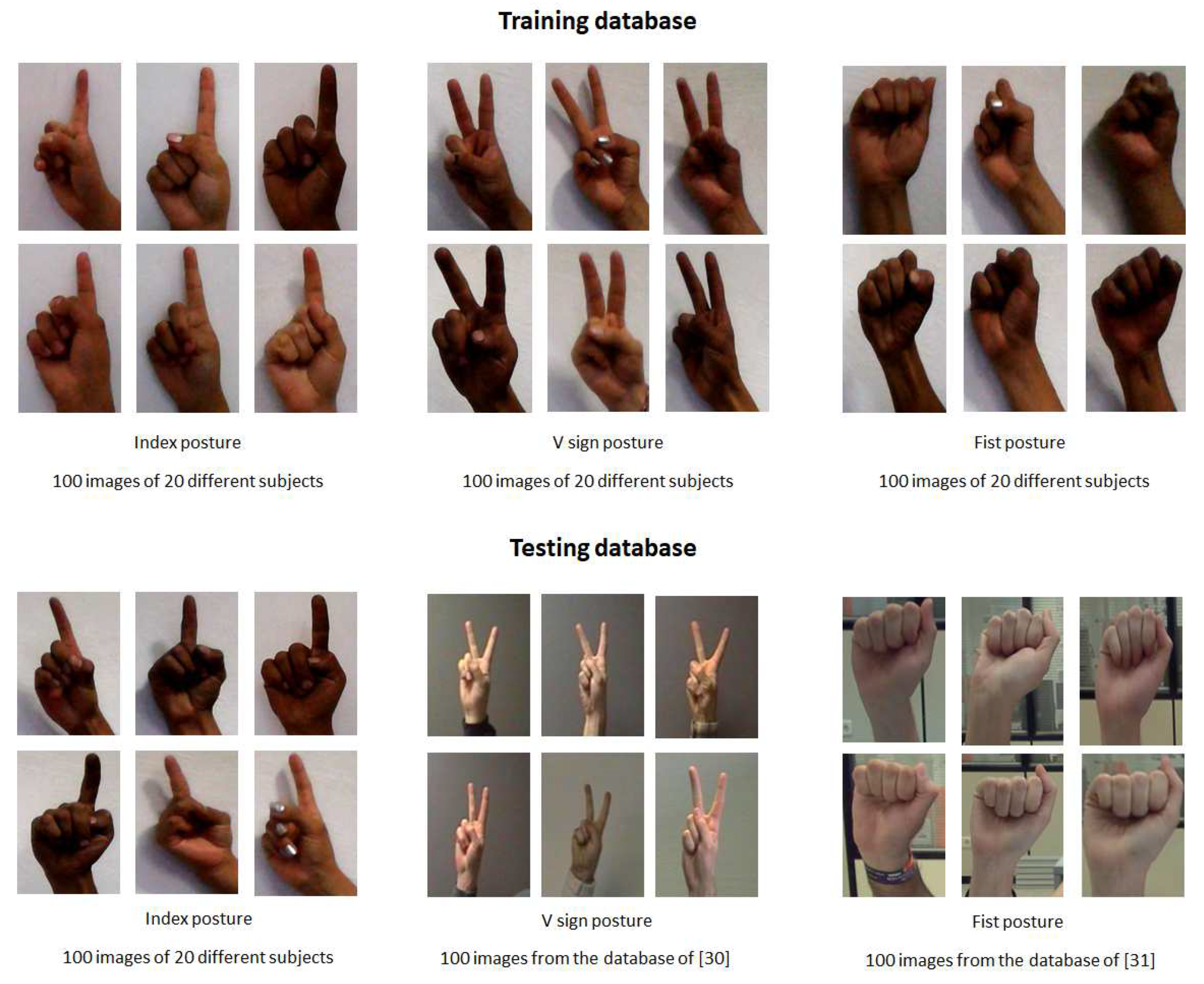 Entropy 21 01114 g003