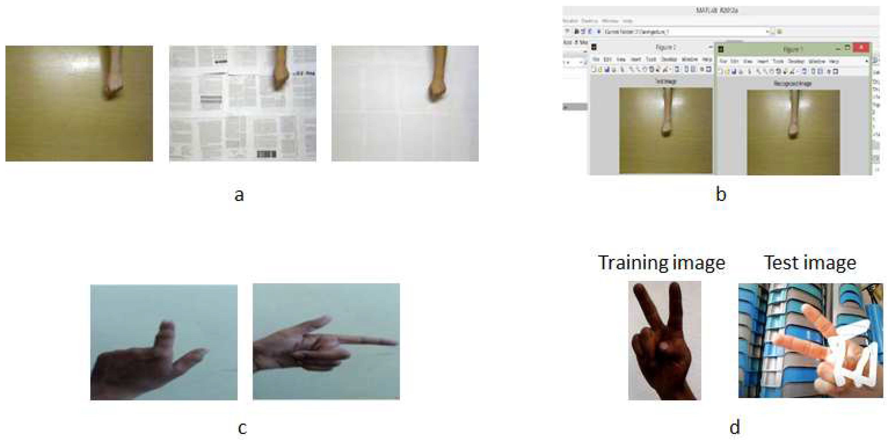 Entropy 21 01114 g005