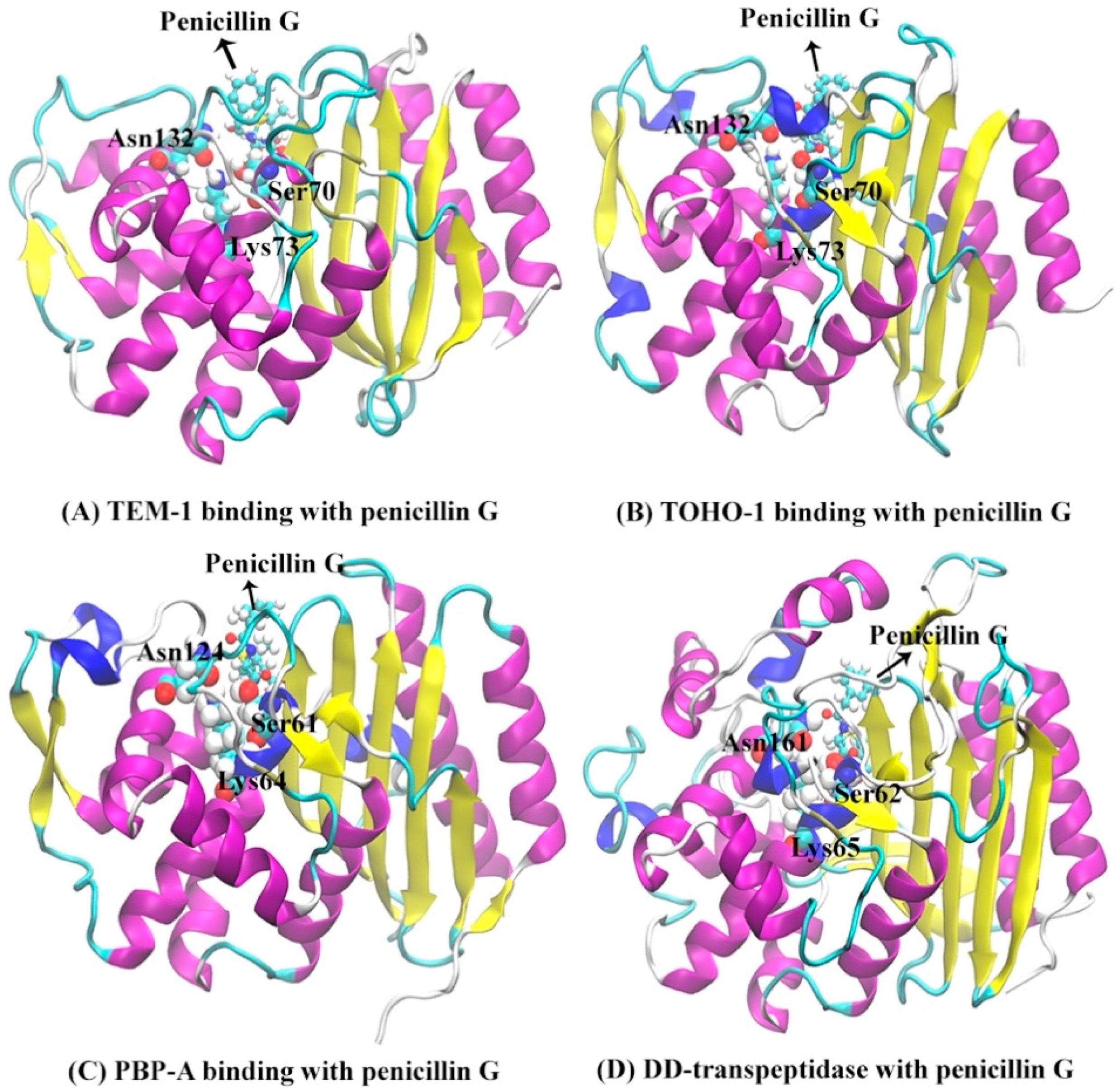 Entropy 21 01130 g003