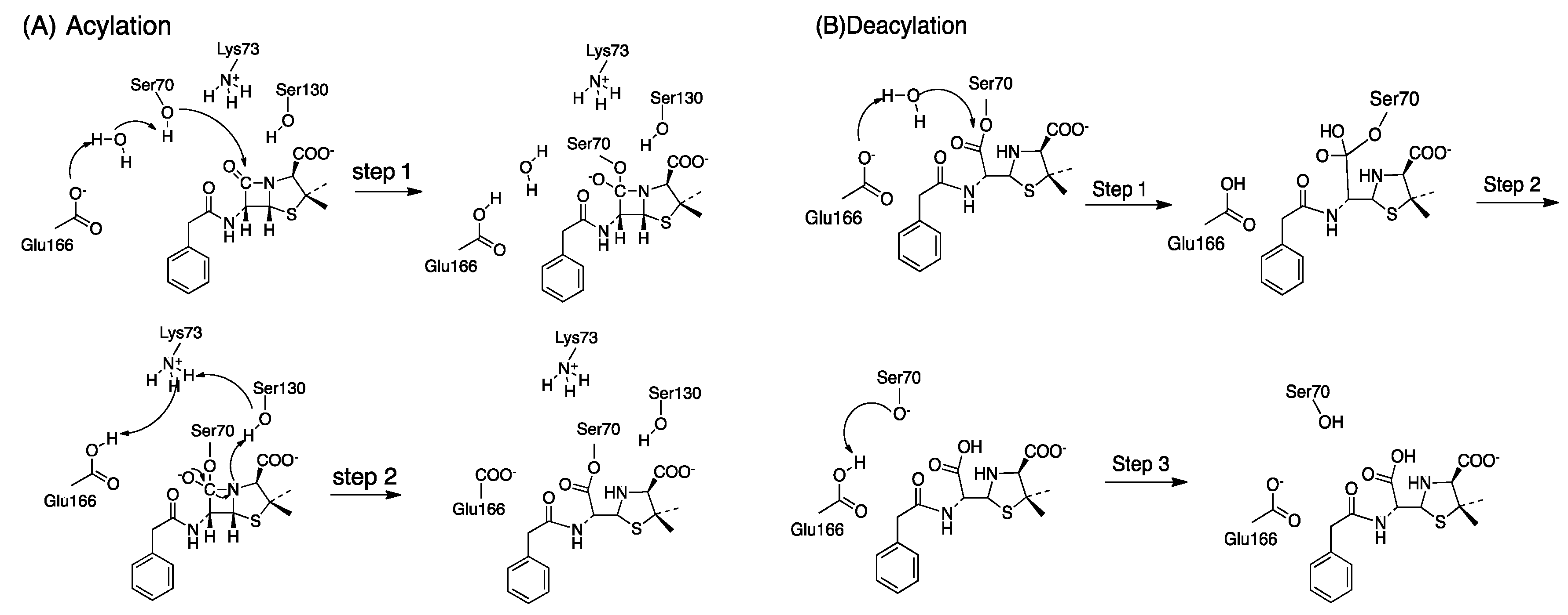 Entropy 21 01130 sch001