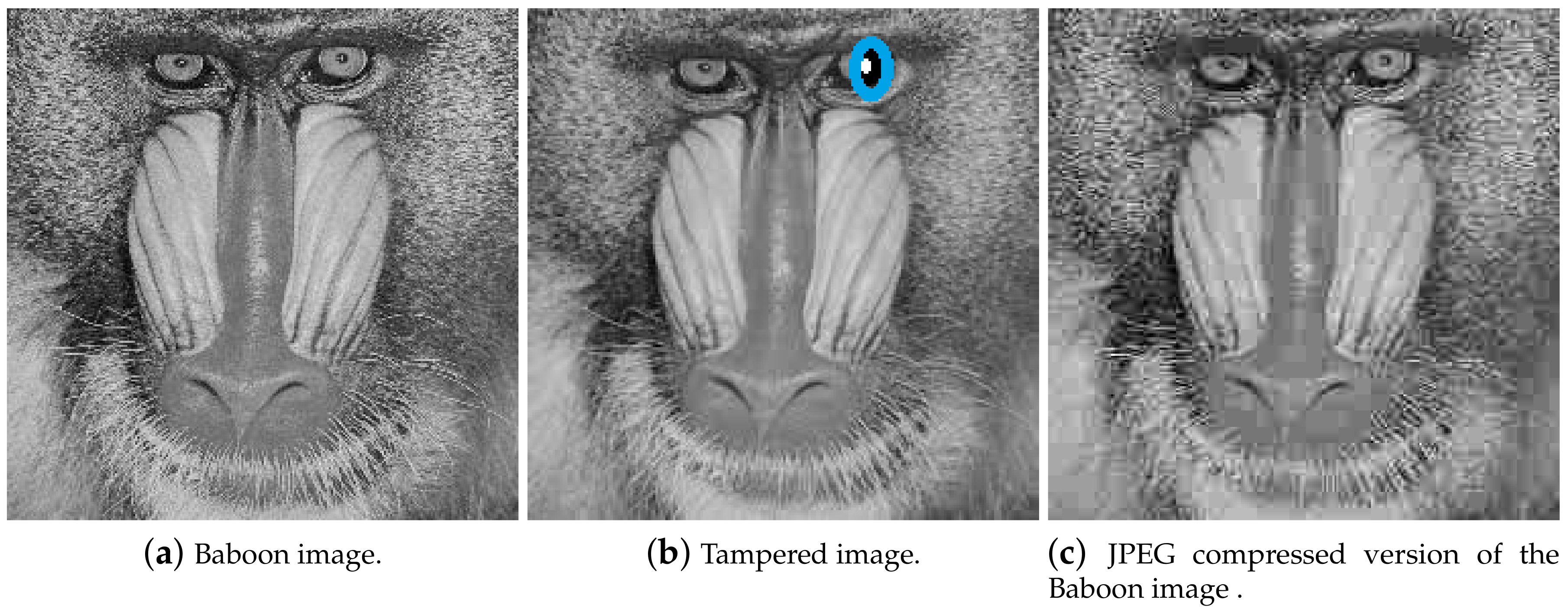 Entropy 21 01132 g002