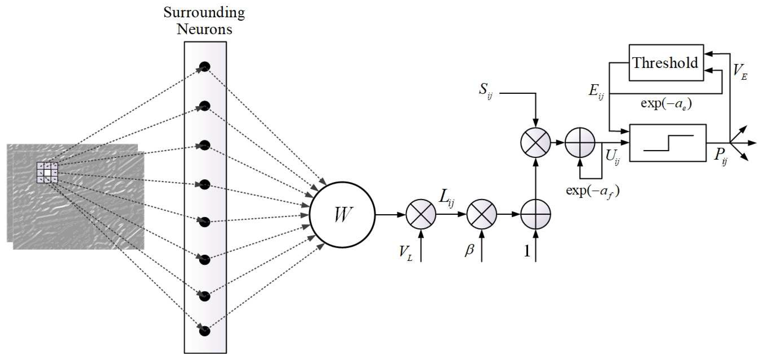 Entropy 21 01135 g002