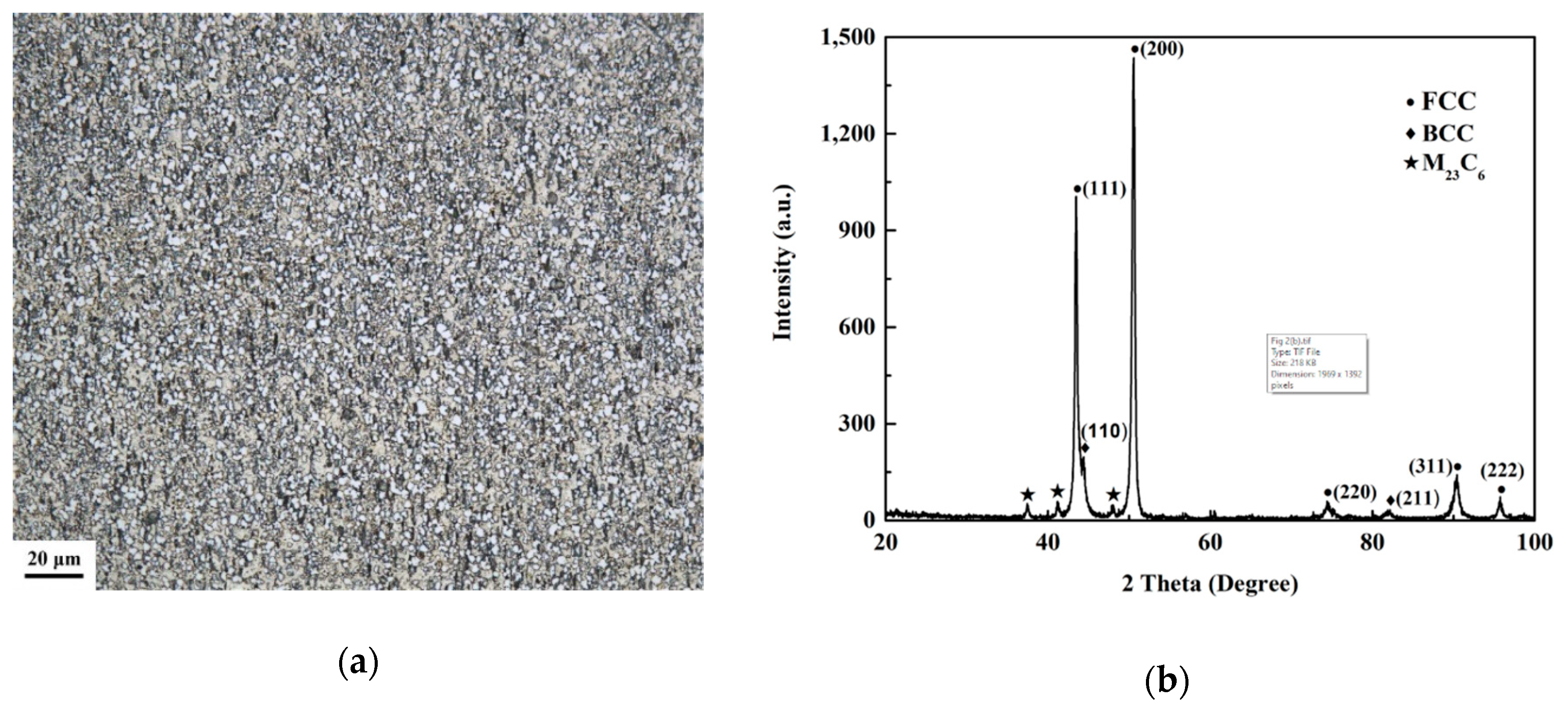 Entropy 21 01154 g002