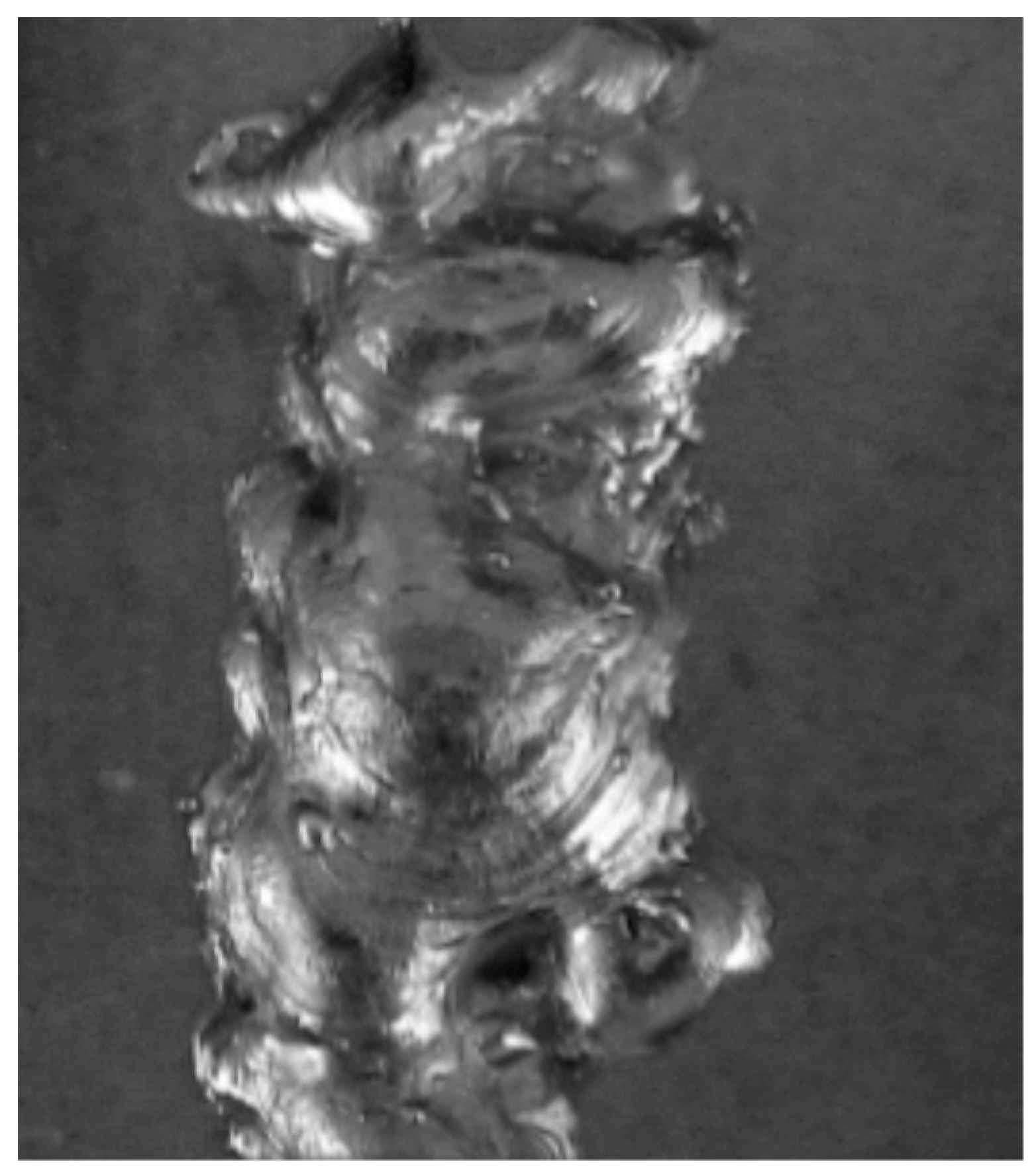 Entropy 21 01168 g002