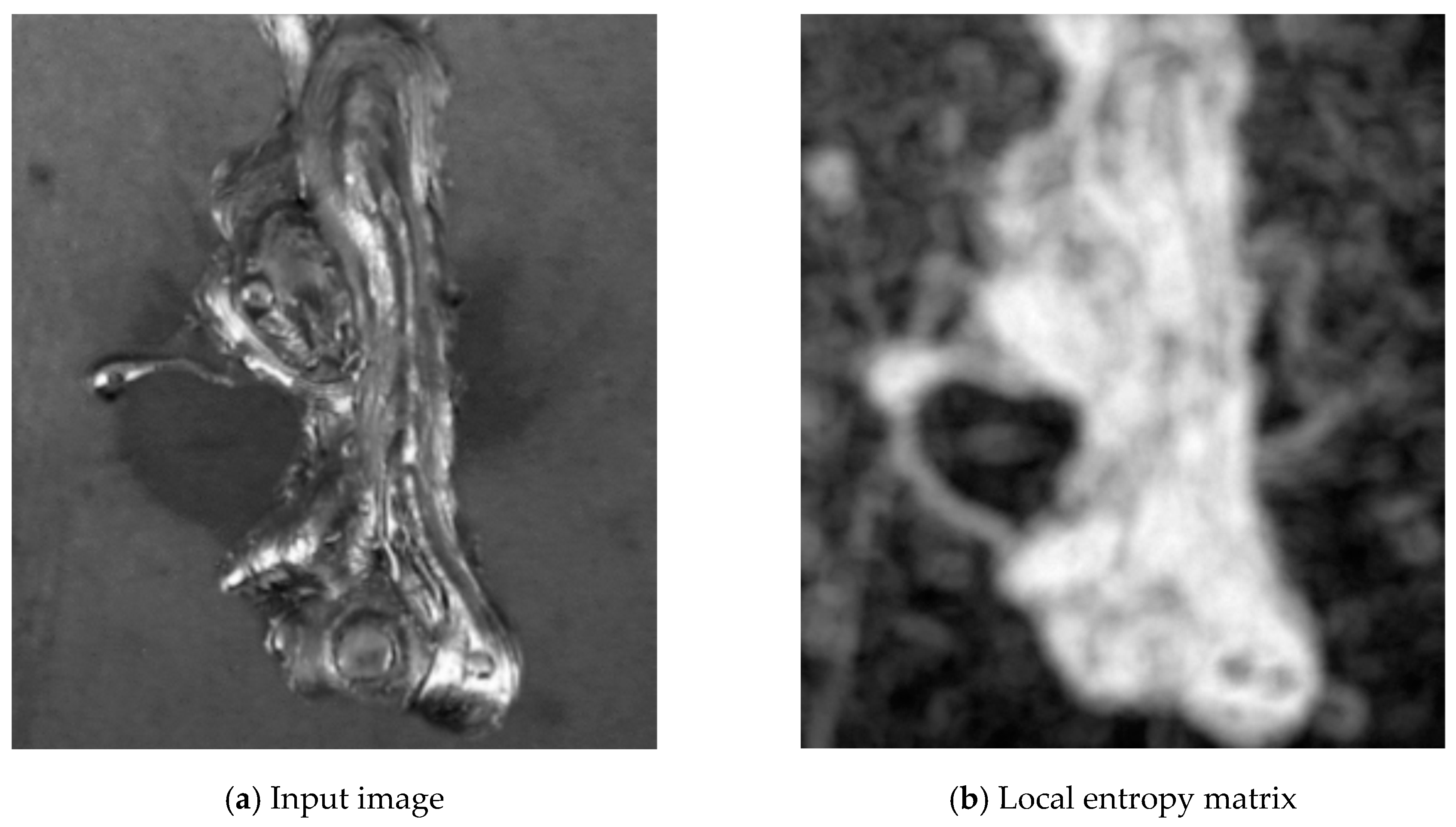 Entropy 21 01168 g004