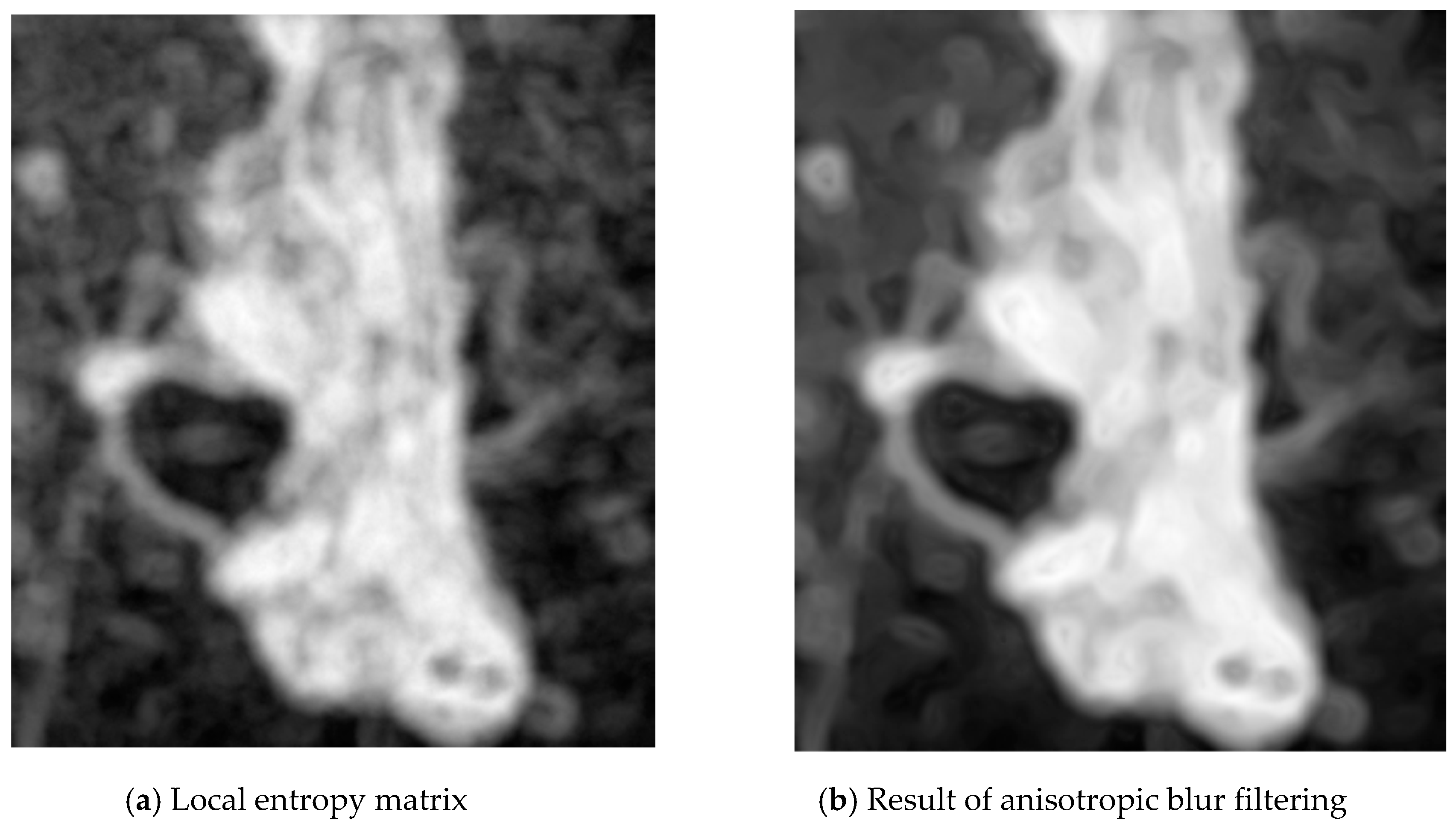 Entropy 21 01168 g005