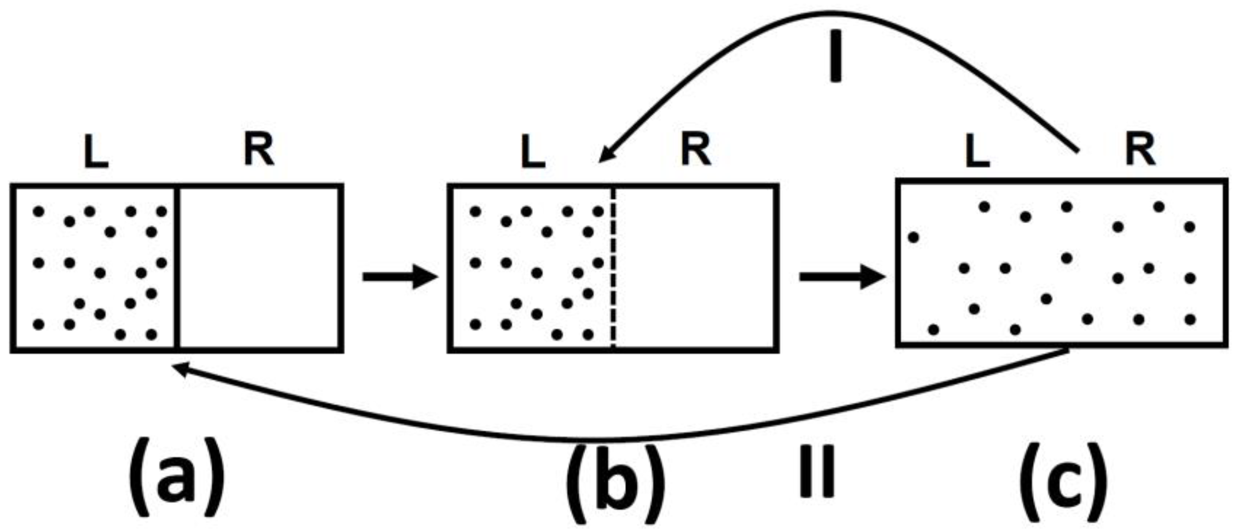 Entropy 21 01170 g005