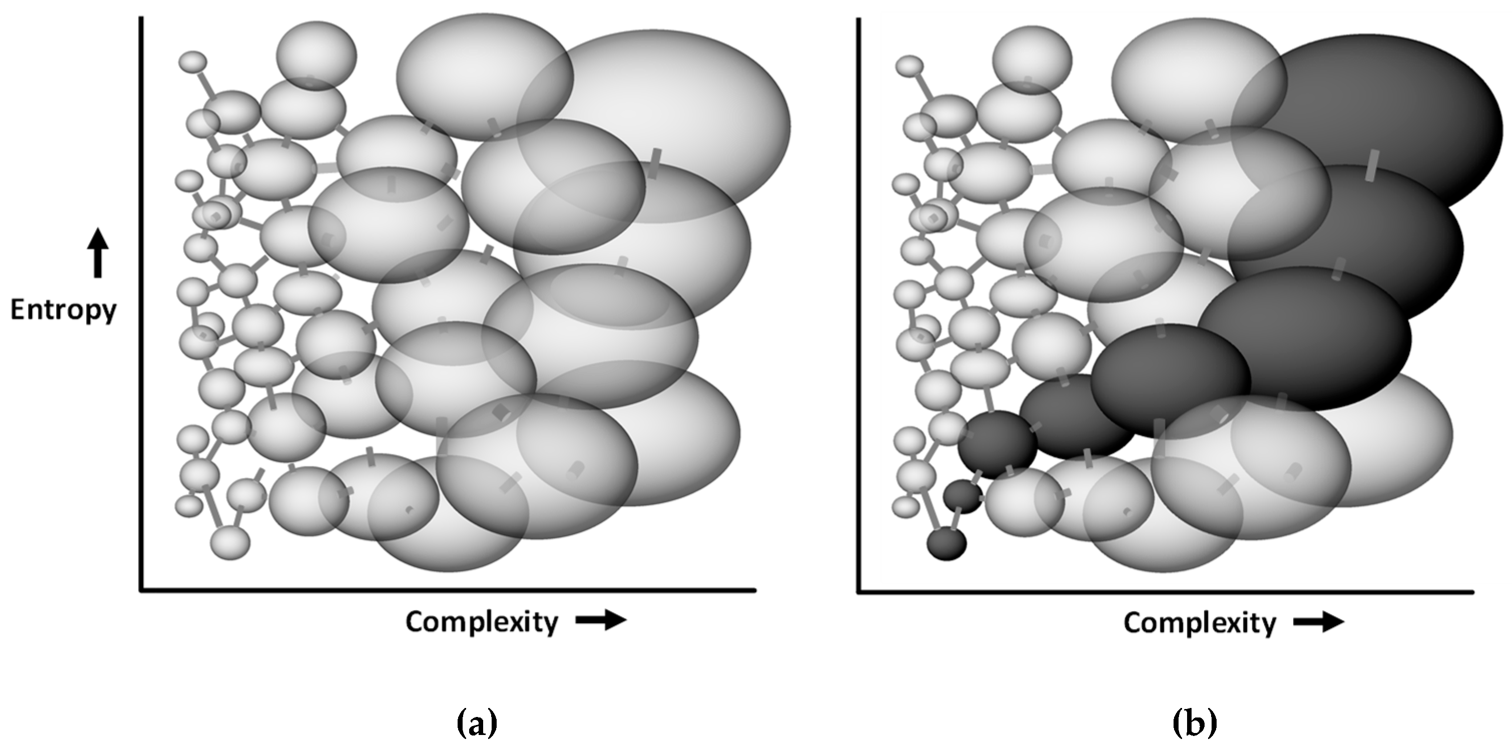 Entropy 21 01211 g003