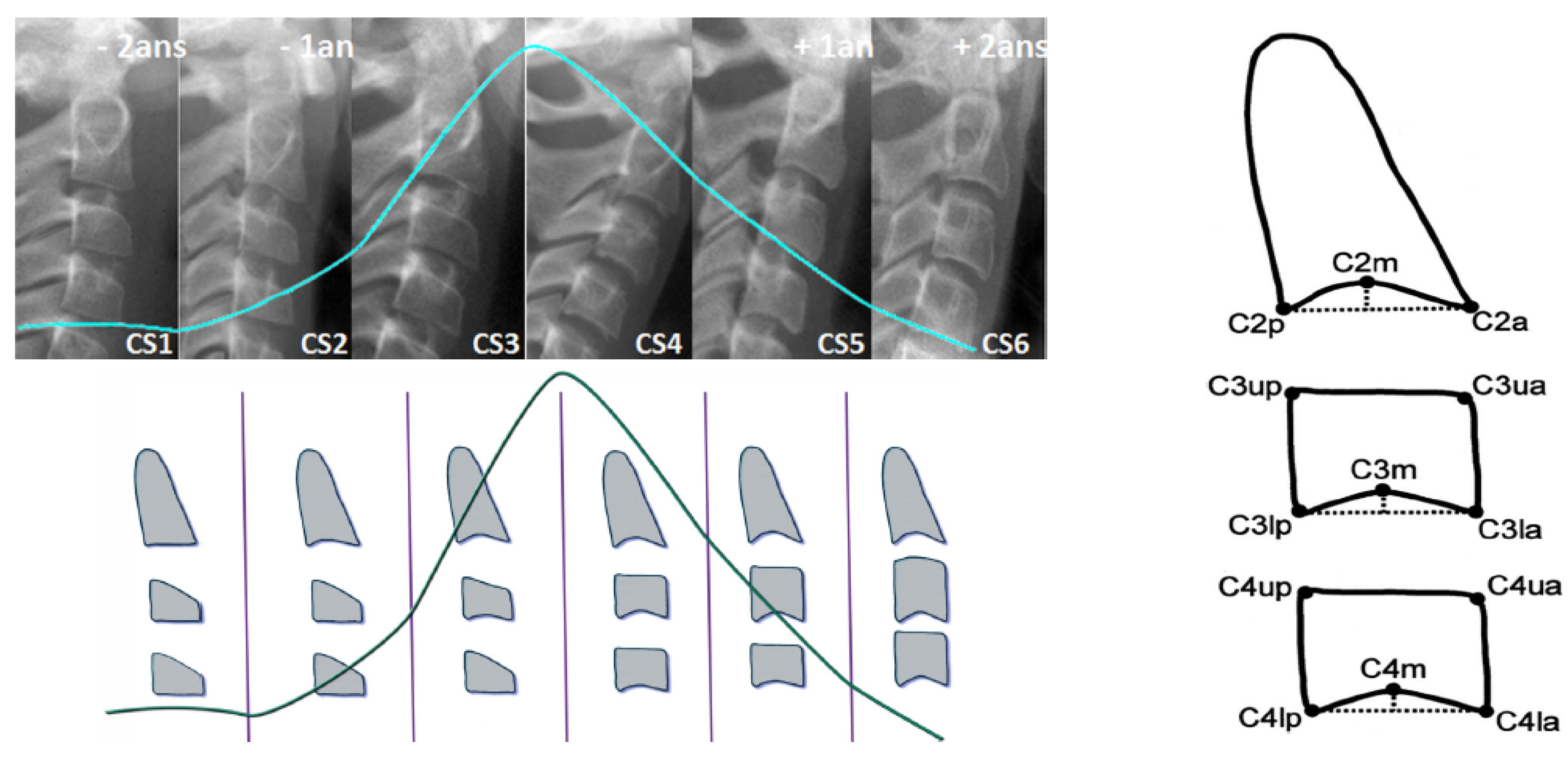 Entropy 21 01222 g001