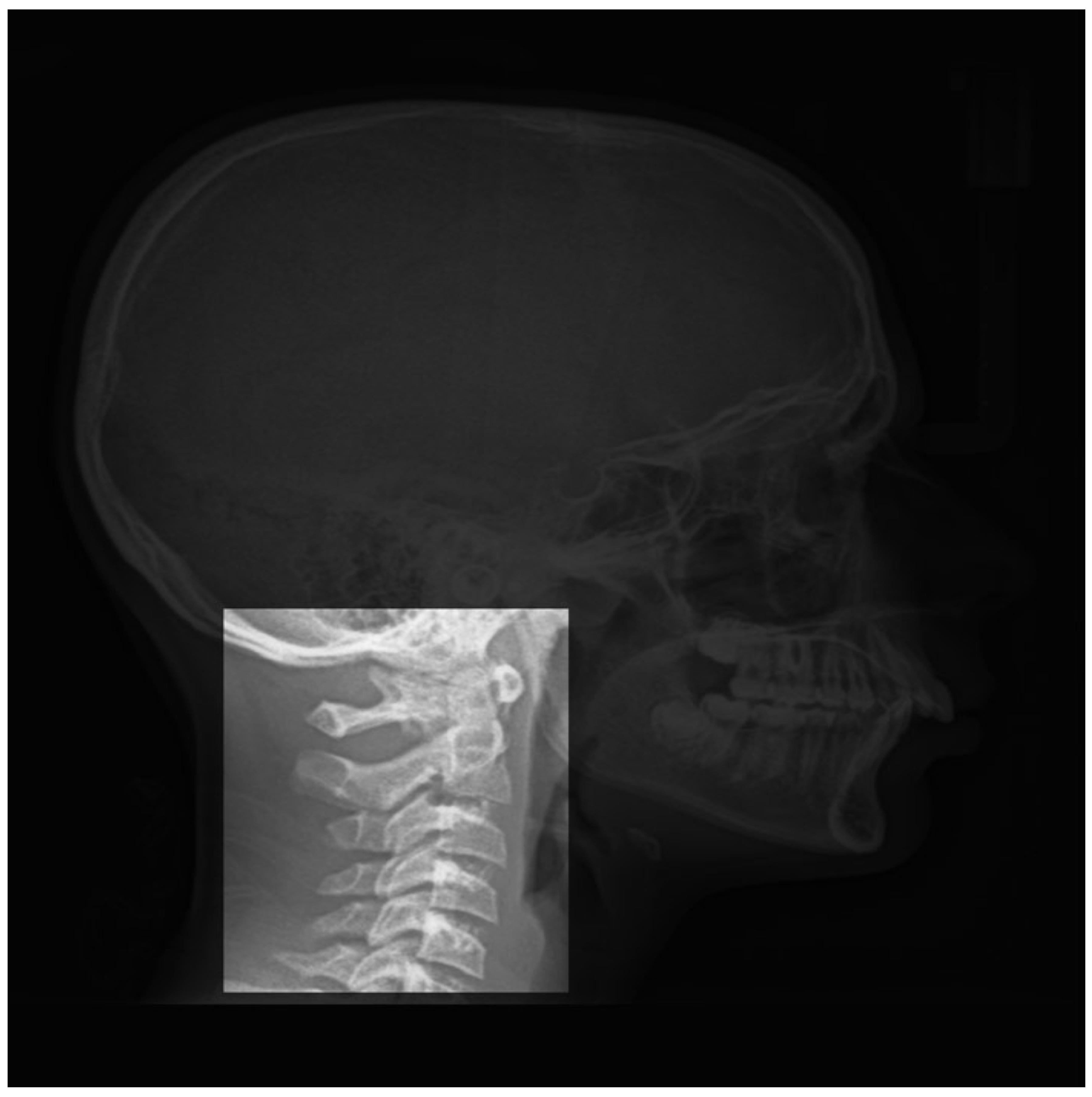 Entropy 21 01222 g002