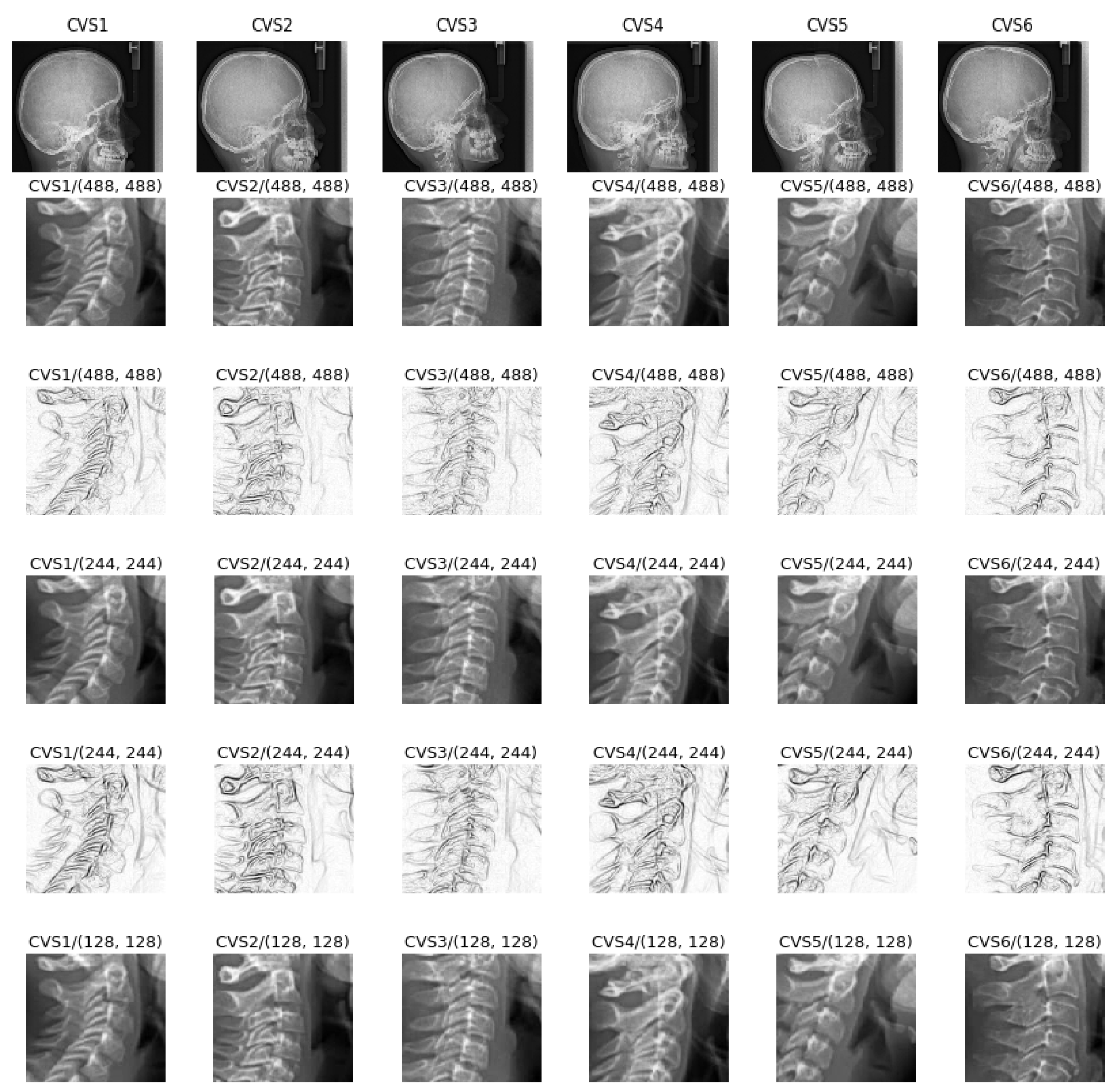 Entropy 21 01222 g003
