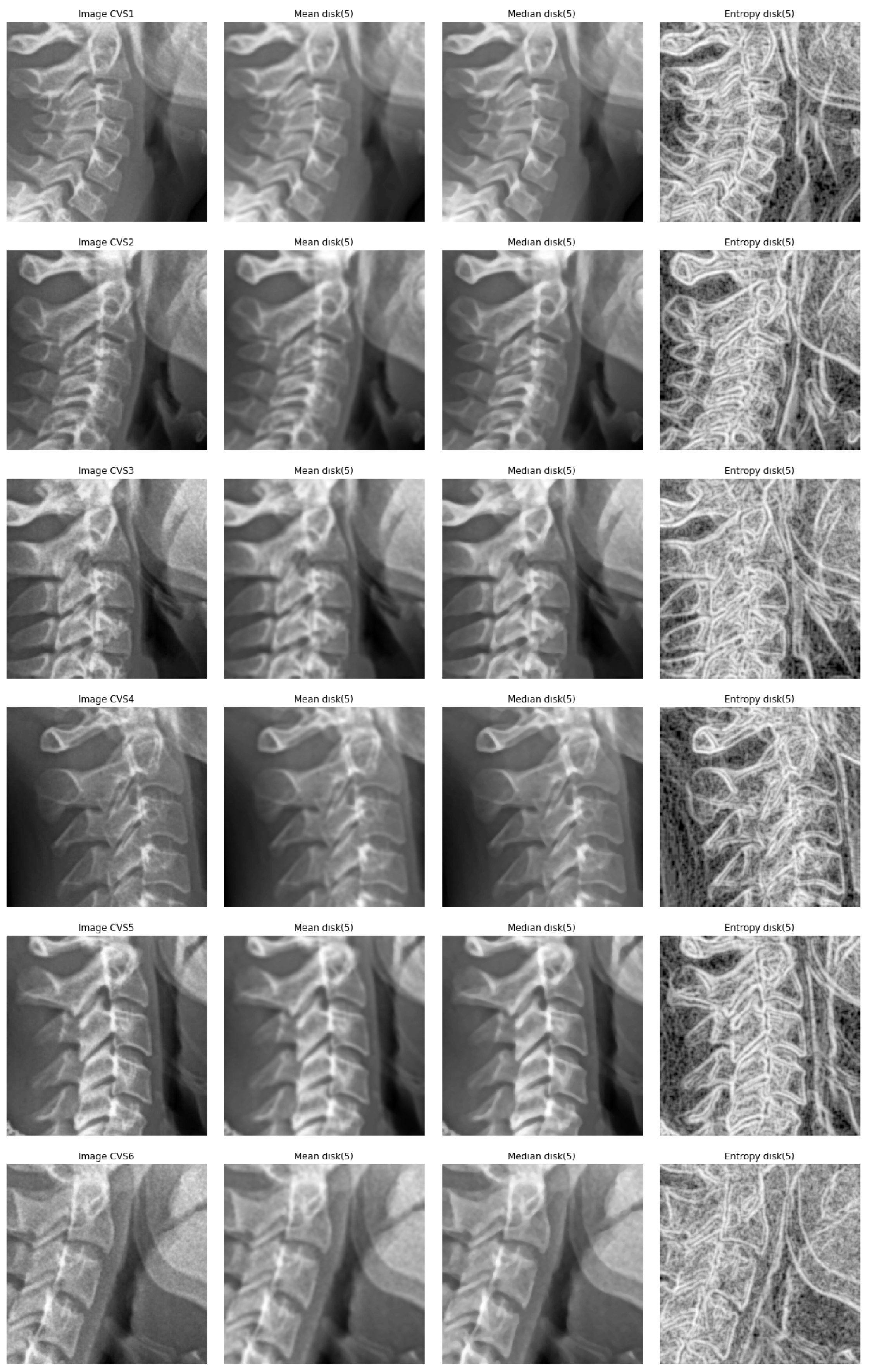 Entropy 21 01222 g007