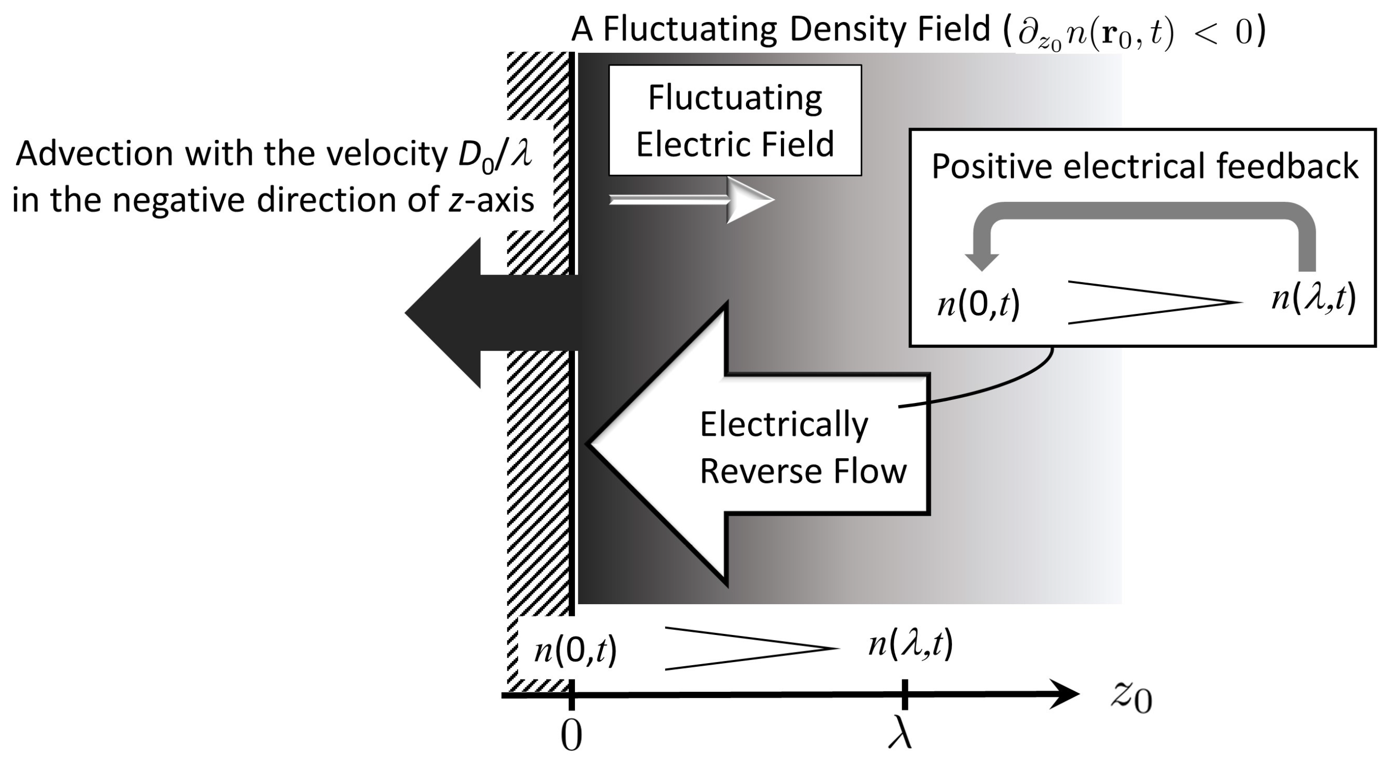 Entropy 22 00034 g002