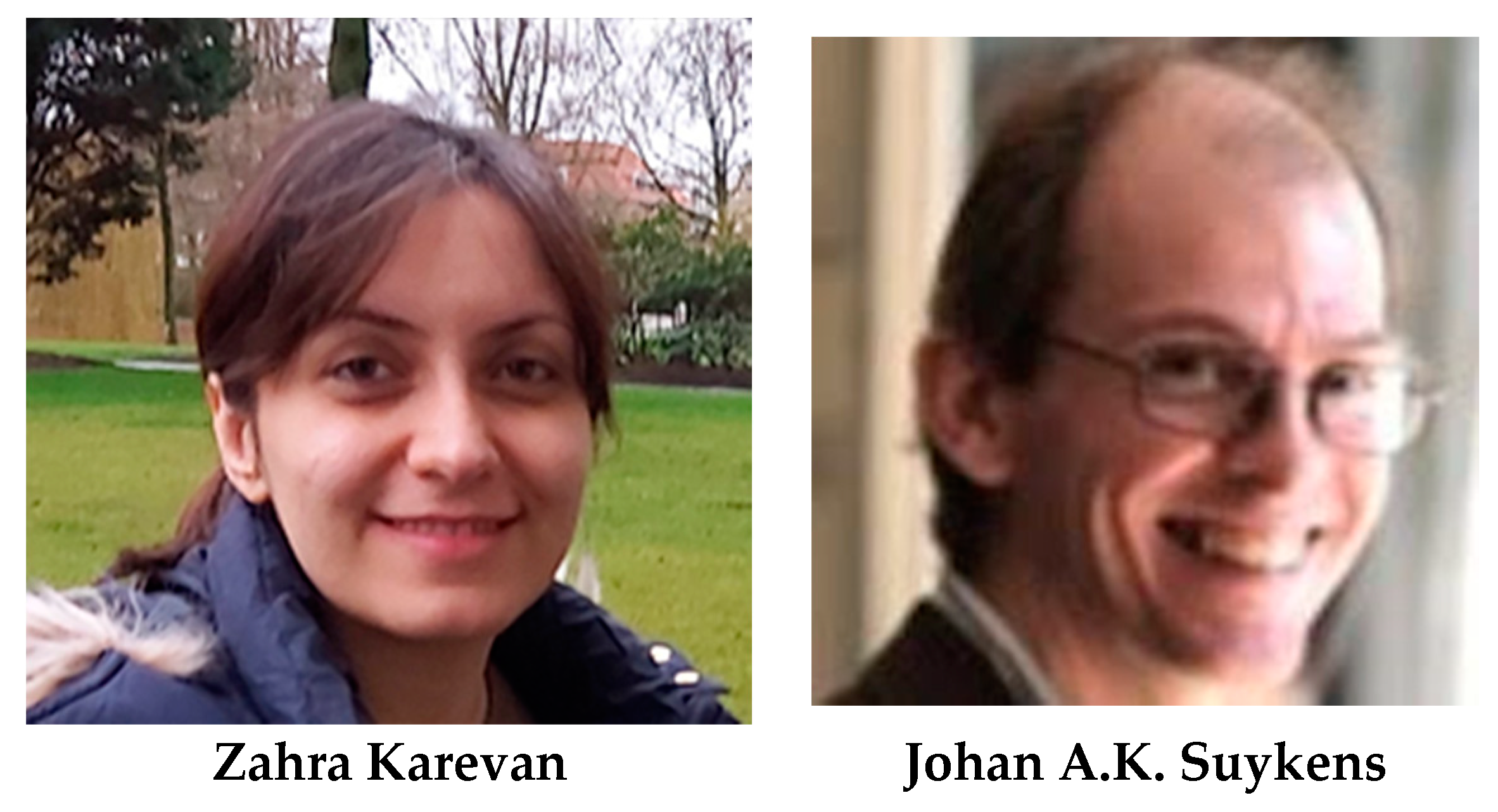 Entropy 22 00124 i002