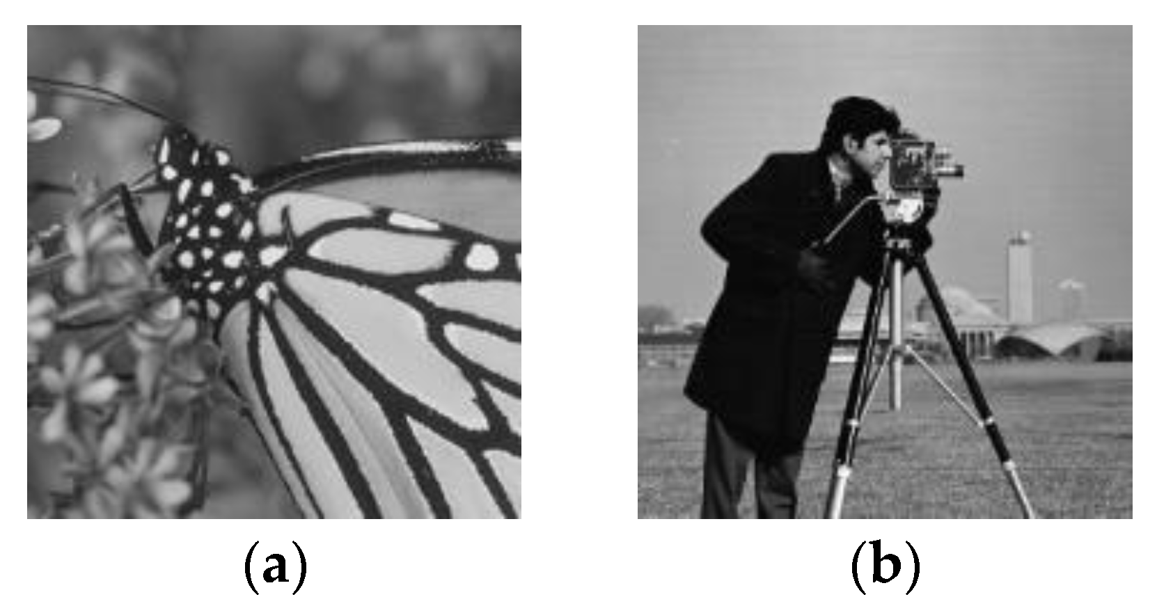 Entropy 22 00125 g003a Entropy 22 00125 g003a