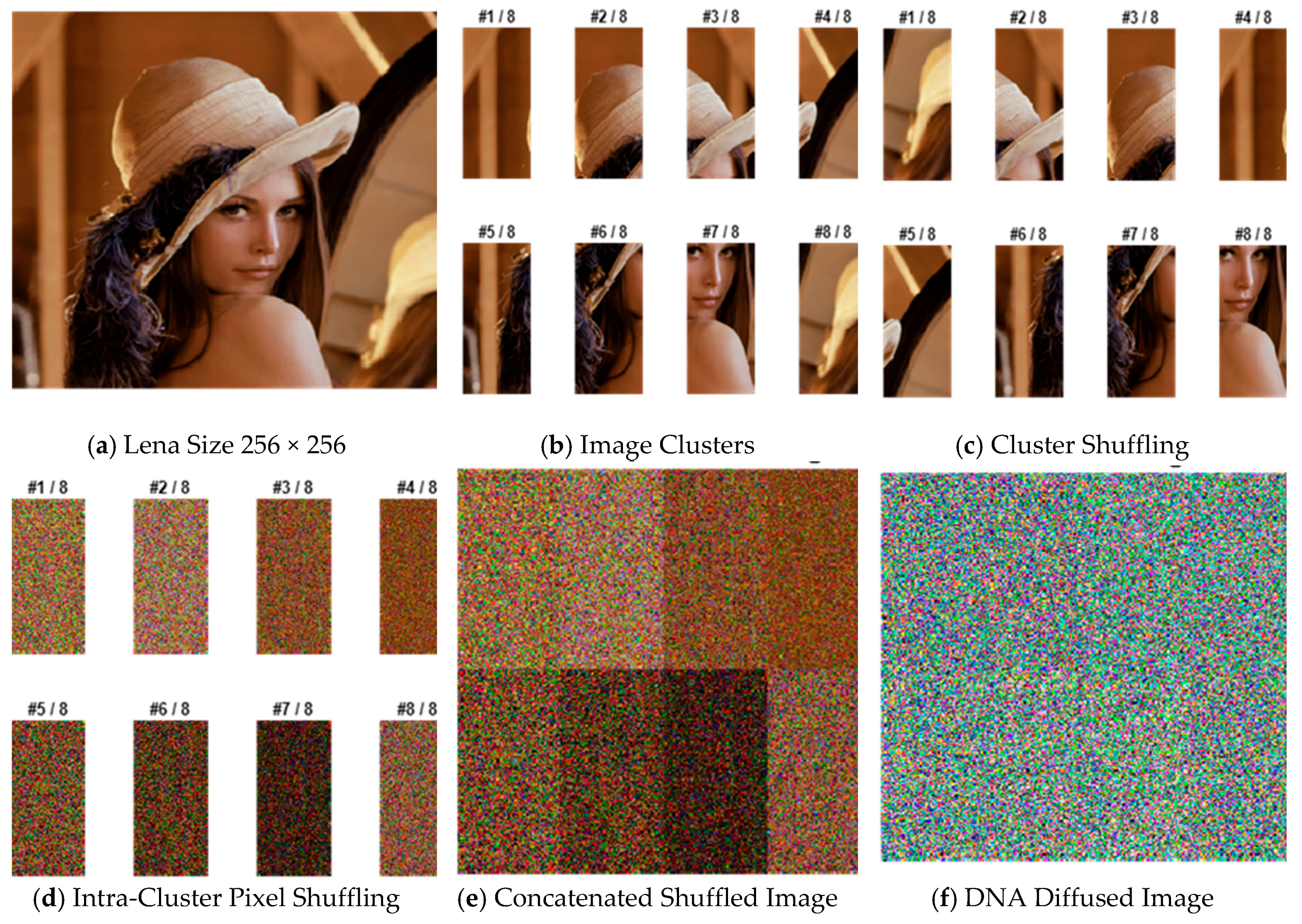 Entropy 22 00158 g002