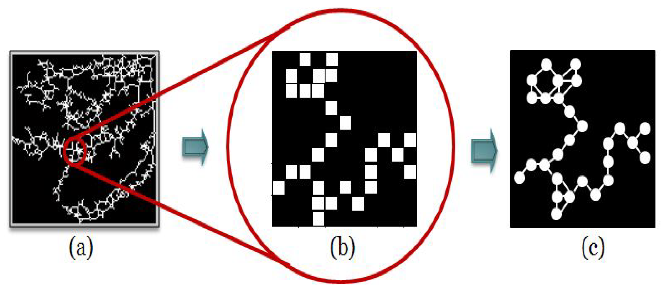 Entropy 22 00166 g002