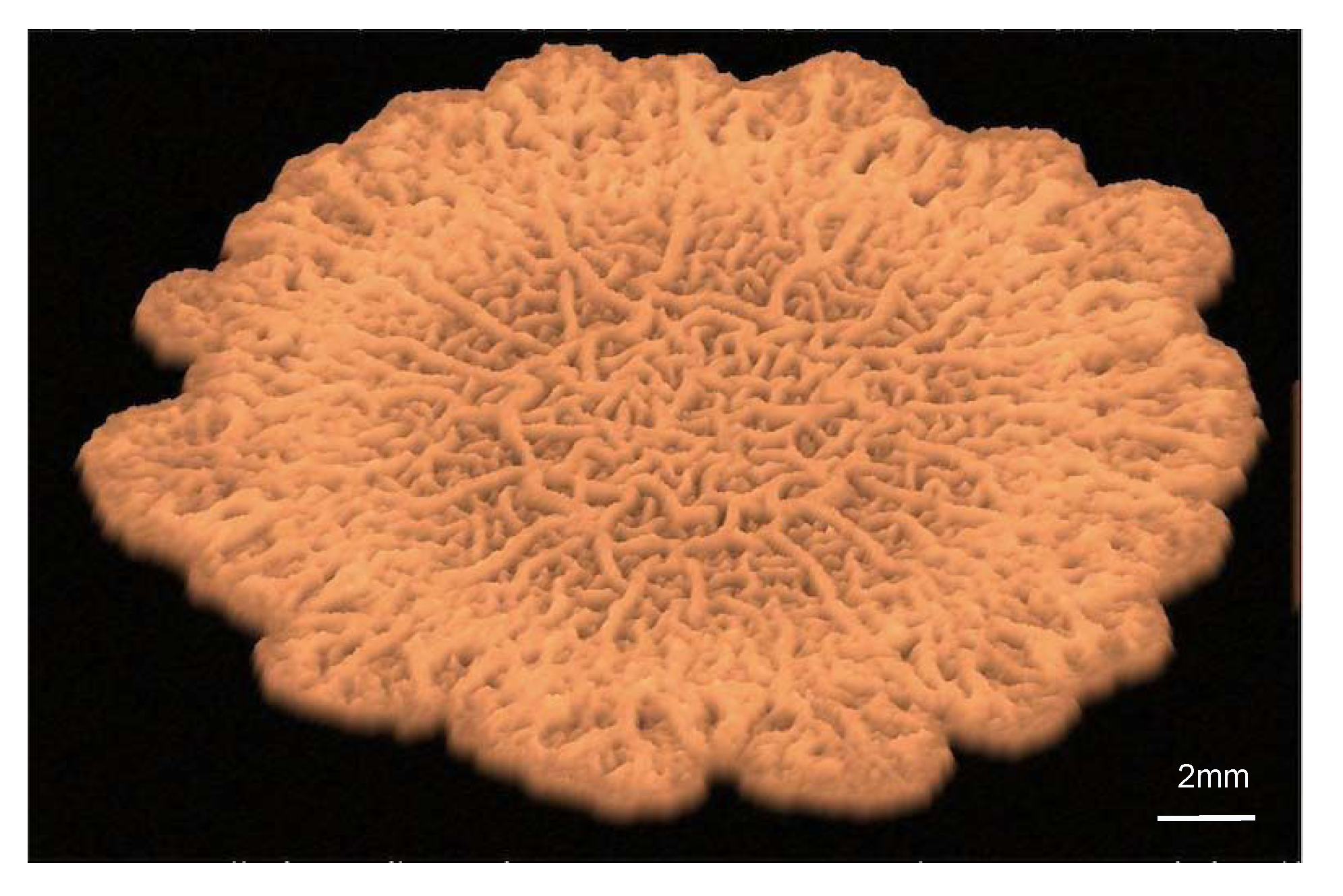 Entropy 22 00188 g001 Entropy 22 00188 g001