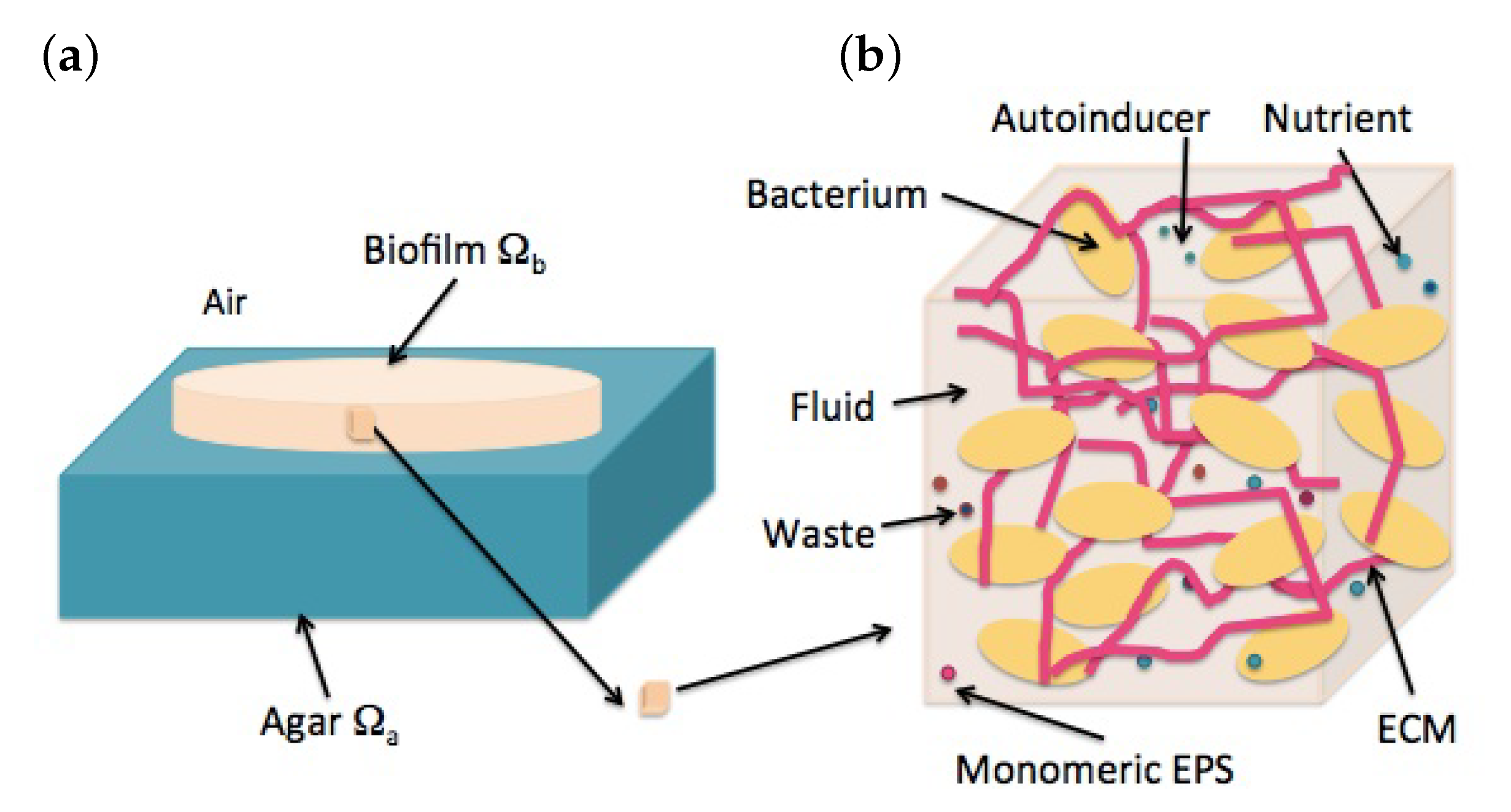 Entropy 22 00188 g002 Entropy 22 00188 g002