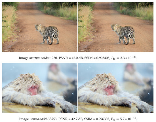 Entropy 22 00198 g0a2