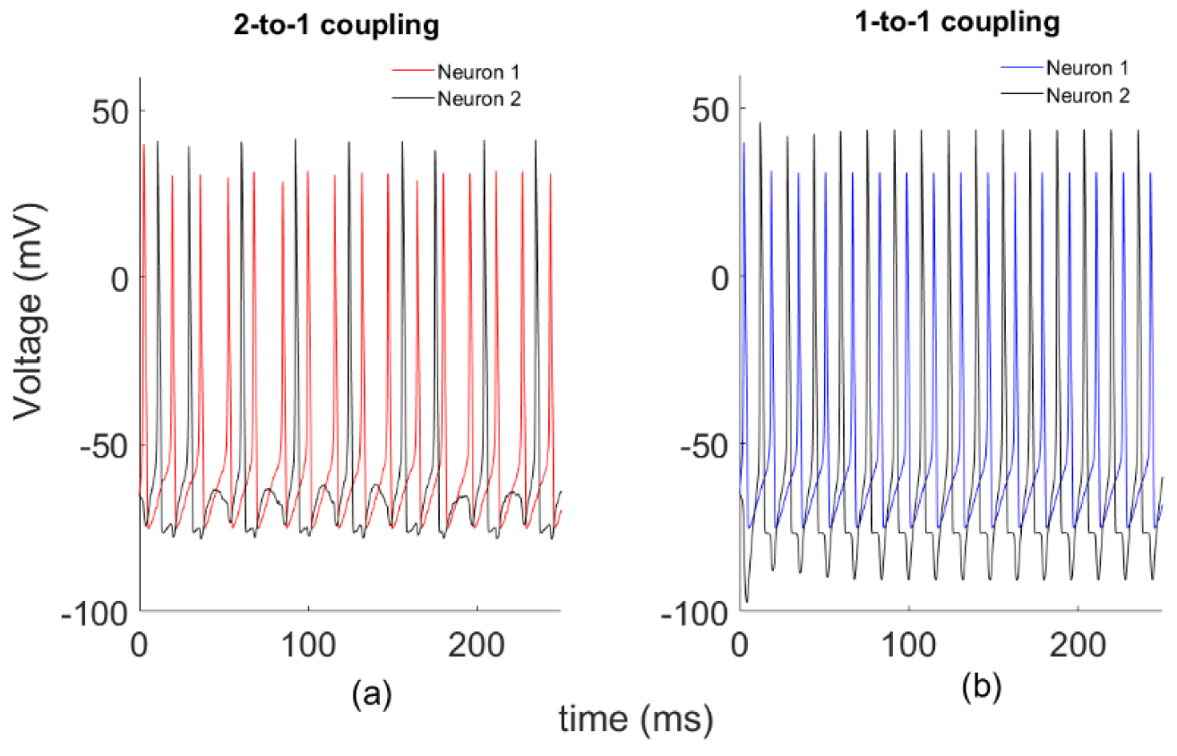 Entropy 22 00387 g001