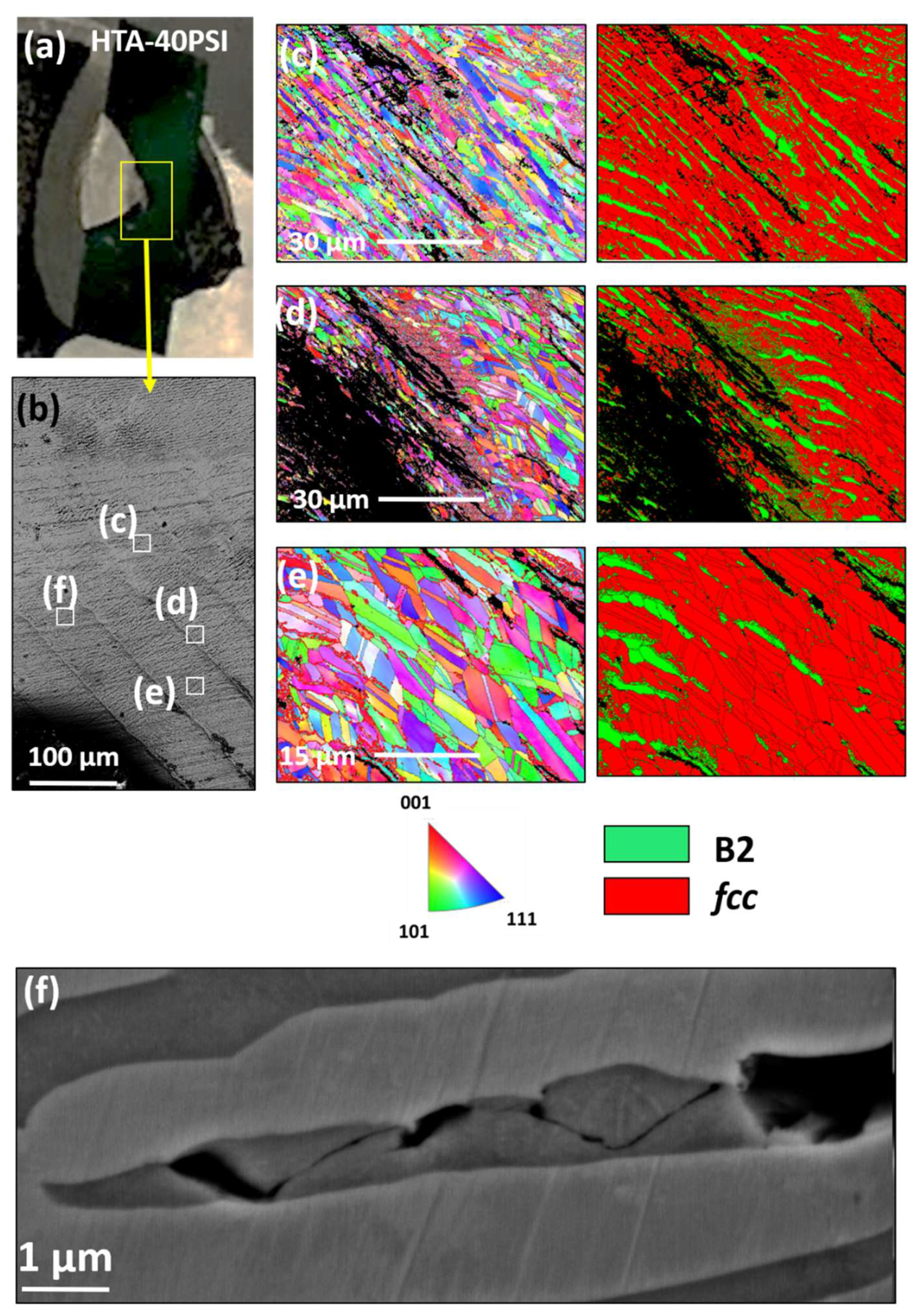 Entropy 22 00431 g010 Entropy 22 00431 g010