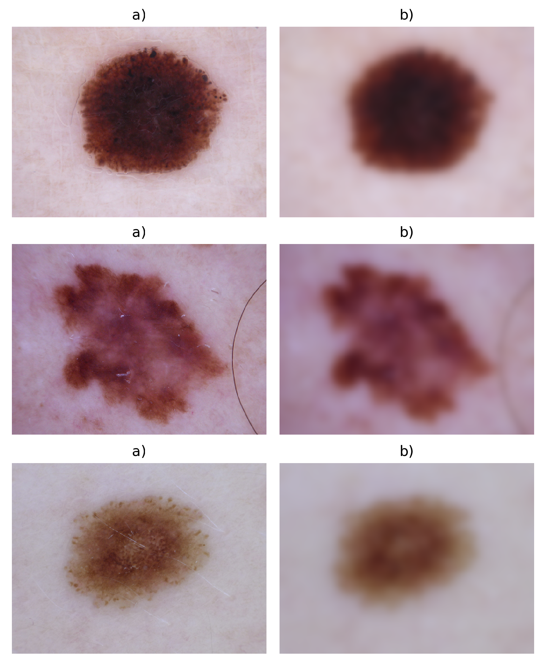 Entropy 22 00484 g002 Entropy 22 00484 g002