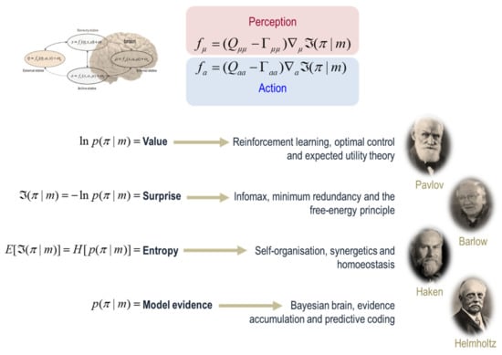 Entropy 22 00516 g003
