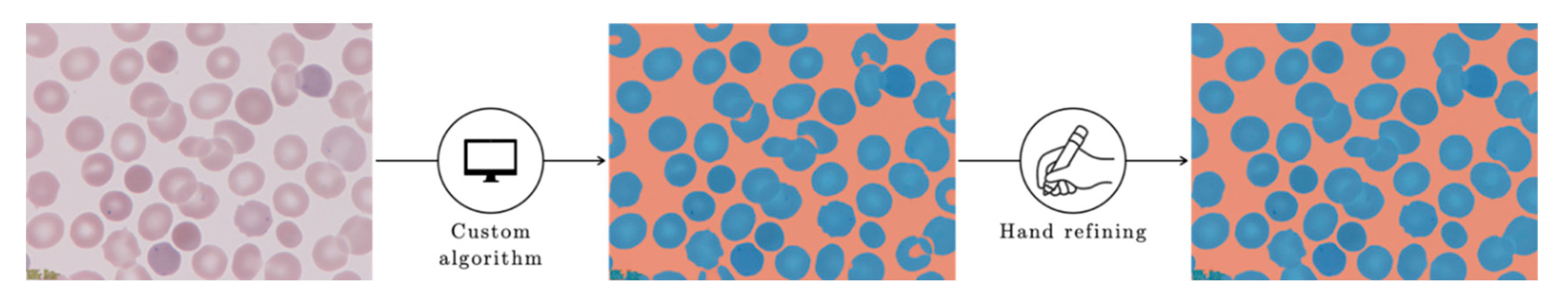 Entropy 22 00657 g004